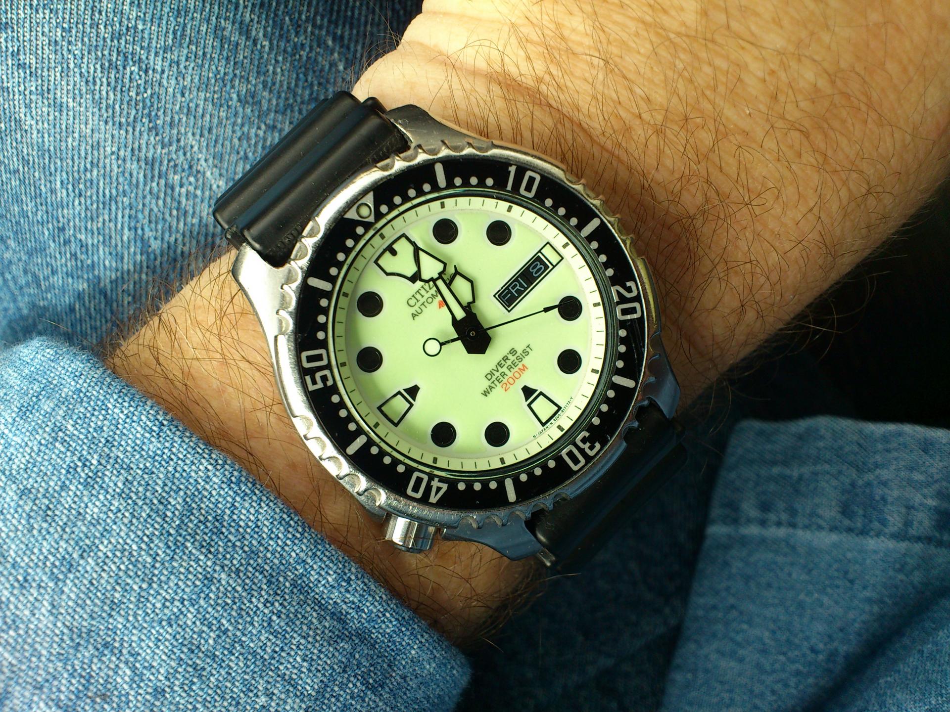 Naziv: DSC_0393.jpg, pregleda: 342, veličina: 479,3 KB