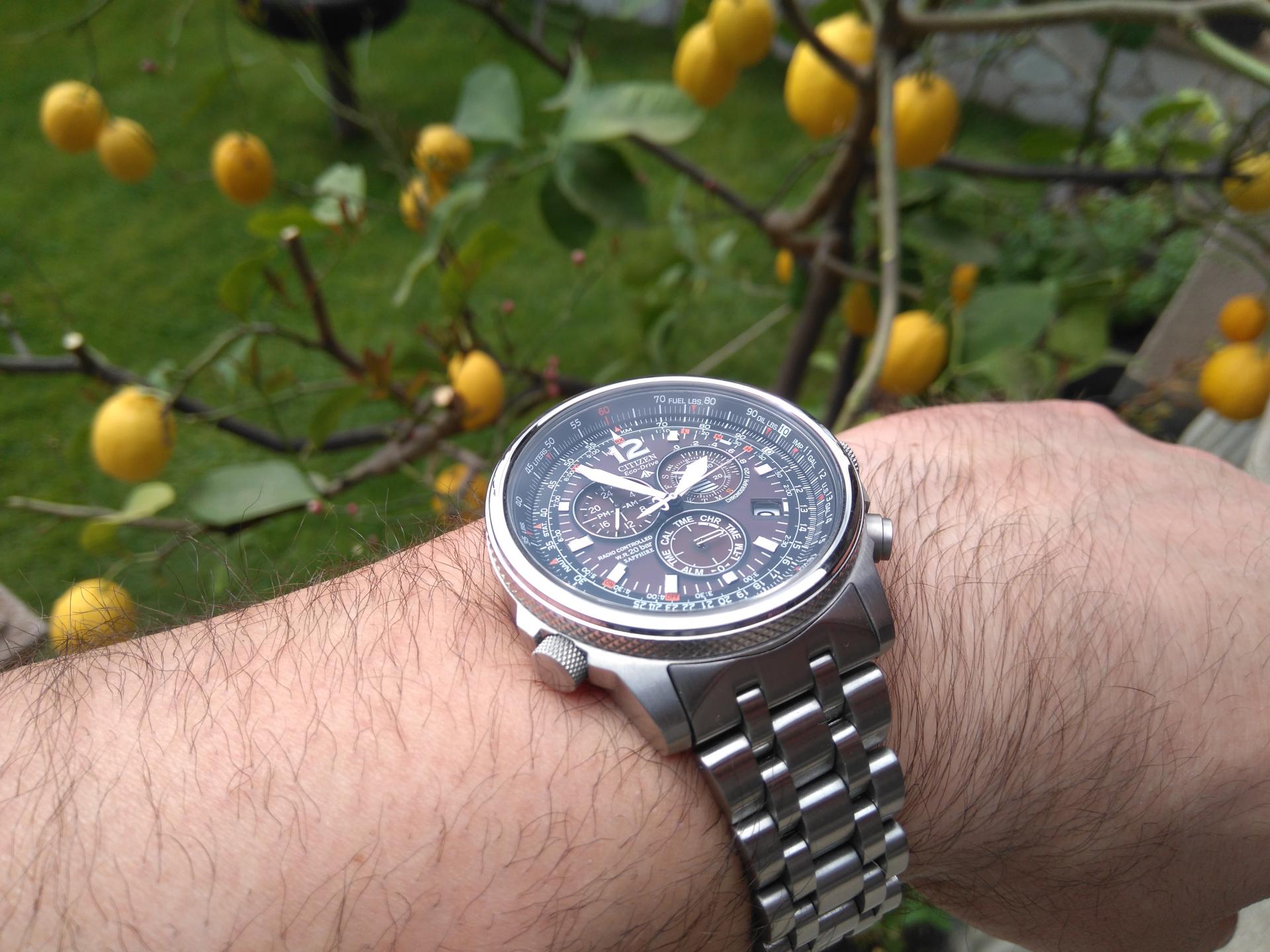 Naziv: DSC_0153.jpg, pregleda: 340, veličina: 273,7 KB