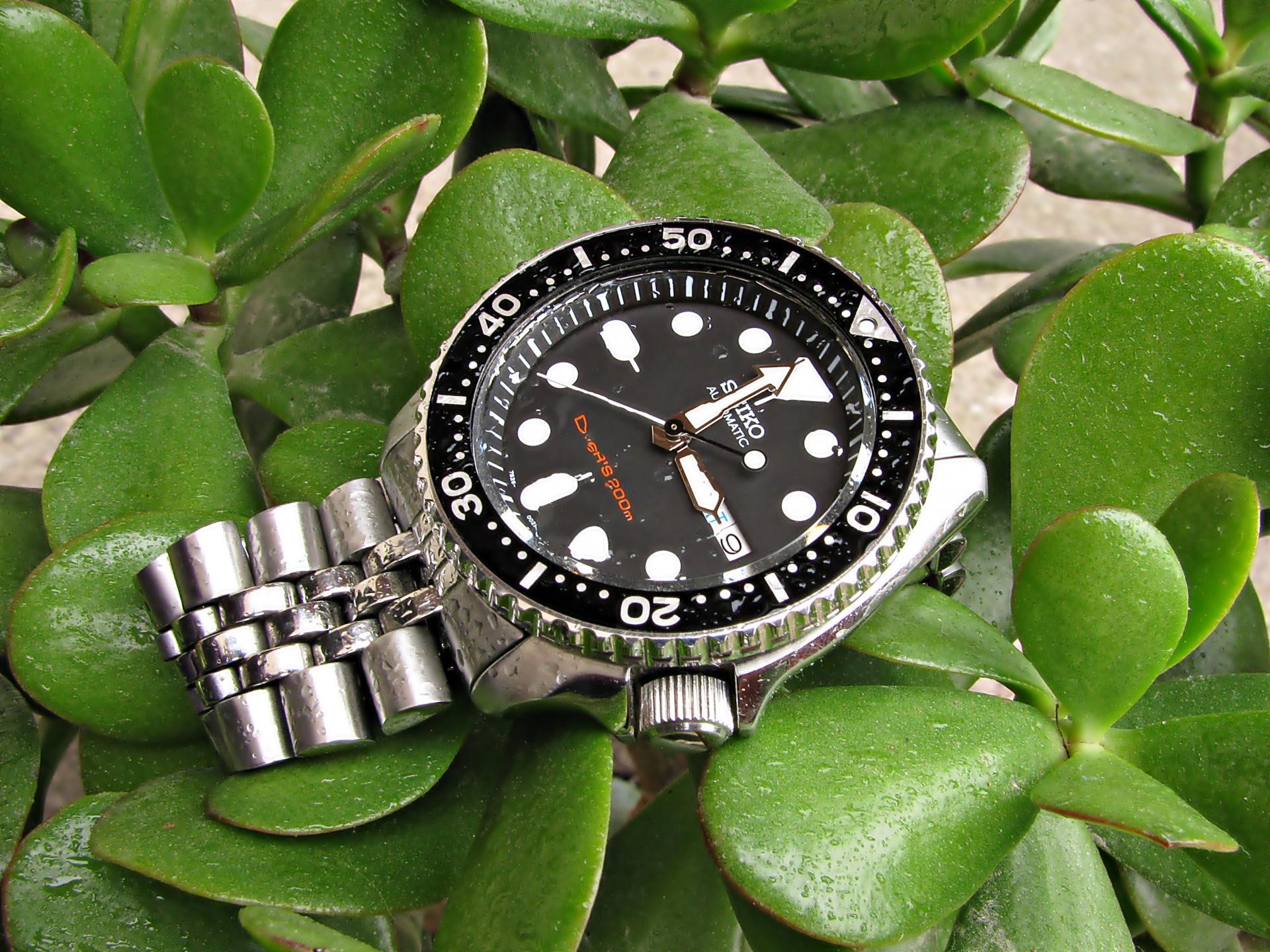 Naziv: IMG_3657 ....jpg, pregleda: 260, veličina: 416,0 KB