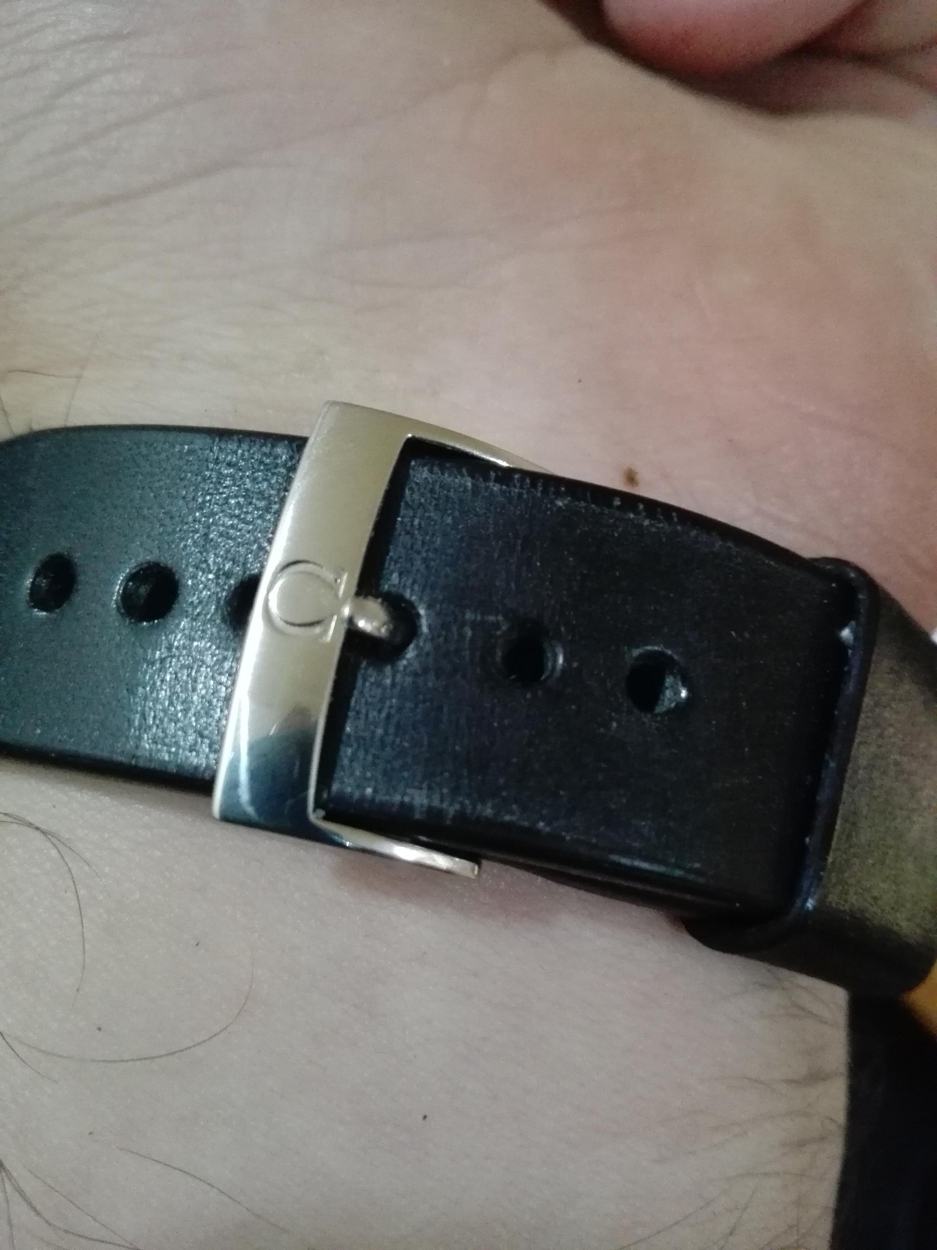 Naziv: IMG_20160411_112319.jpg, pregleda: 224, veličina: 373,3 KB