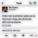 Ajde ko zna neki dobar vic ...-prolece.jpg