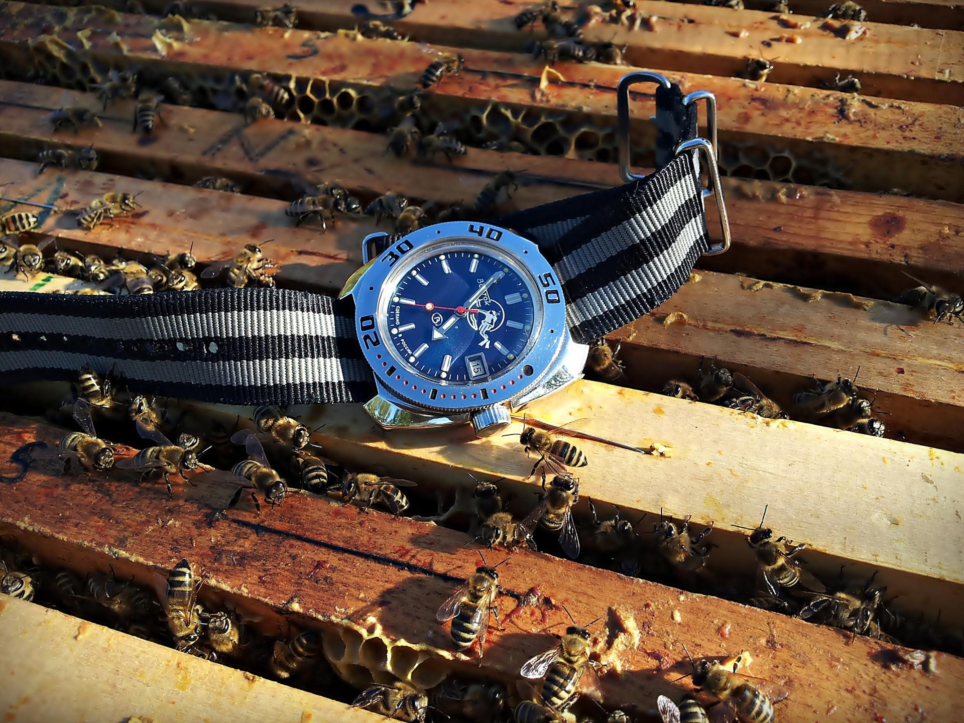 Naziv: 20160415_165553 ...,,.jpg, pregleda: 259, veličina: 460,7 KB