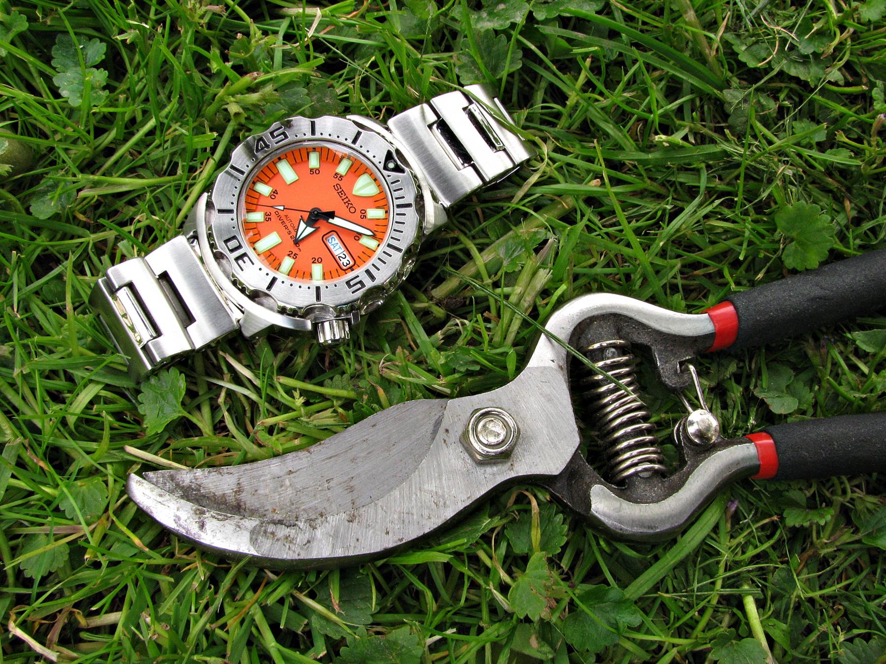 Naziv: IMG_3683....jpg, pregleda: 217, veličina: 501,1 KB