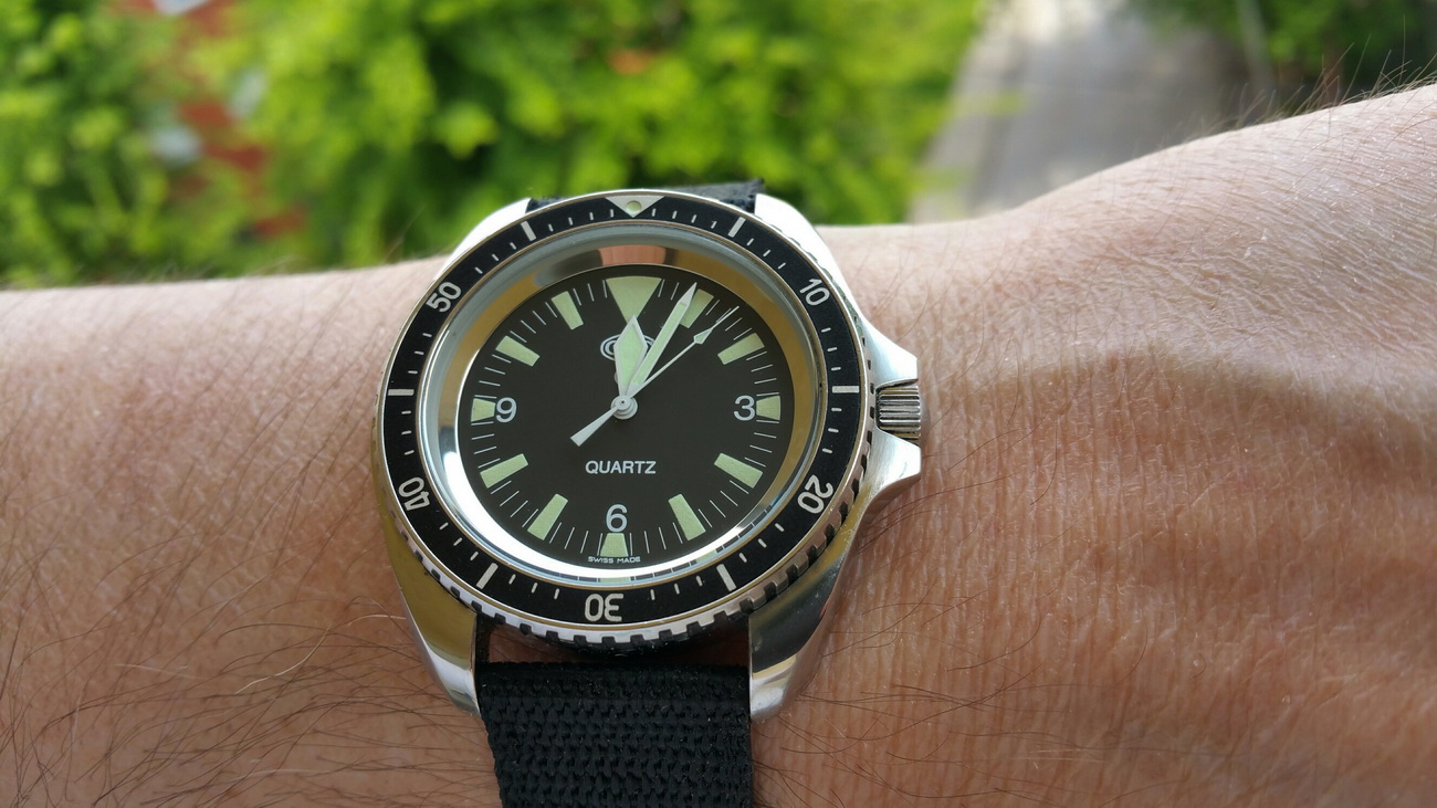 Naziv: 20160507_120402_resized.jpg, pregleda: 196, veličina: 289,2 KB