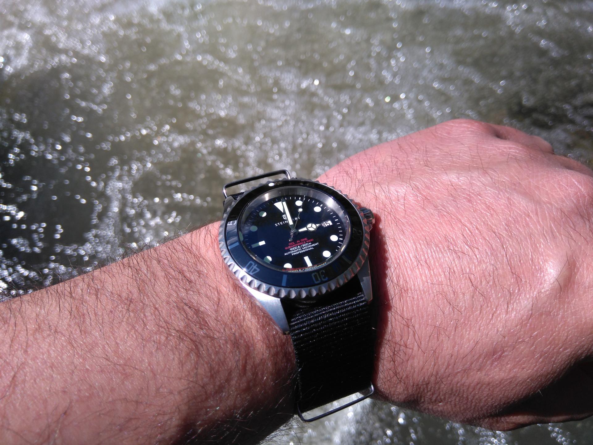 Naziv: DSC_0224.jpg, pregleda: 206, veličina: 352,1 KB