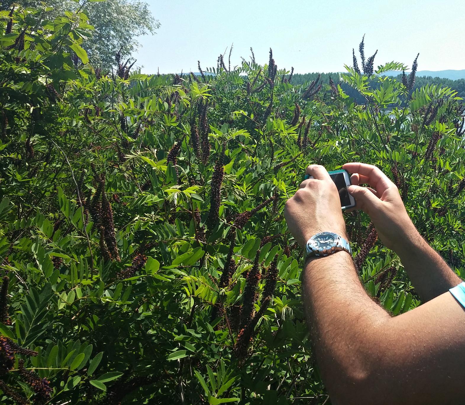 Naziv: 20160522_132720 ....jpg, pregleda: 173, veličina: 530,1 KB