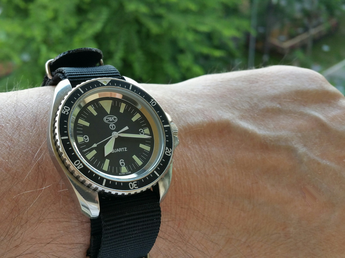 Naziv: 20160526_191632_resized.jpg, pregleda: 205, veličina: 289,9 KB