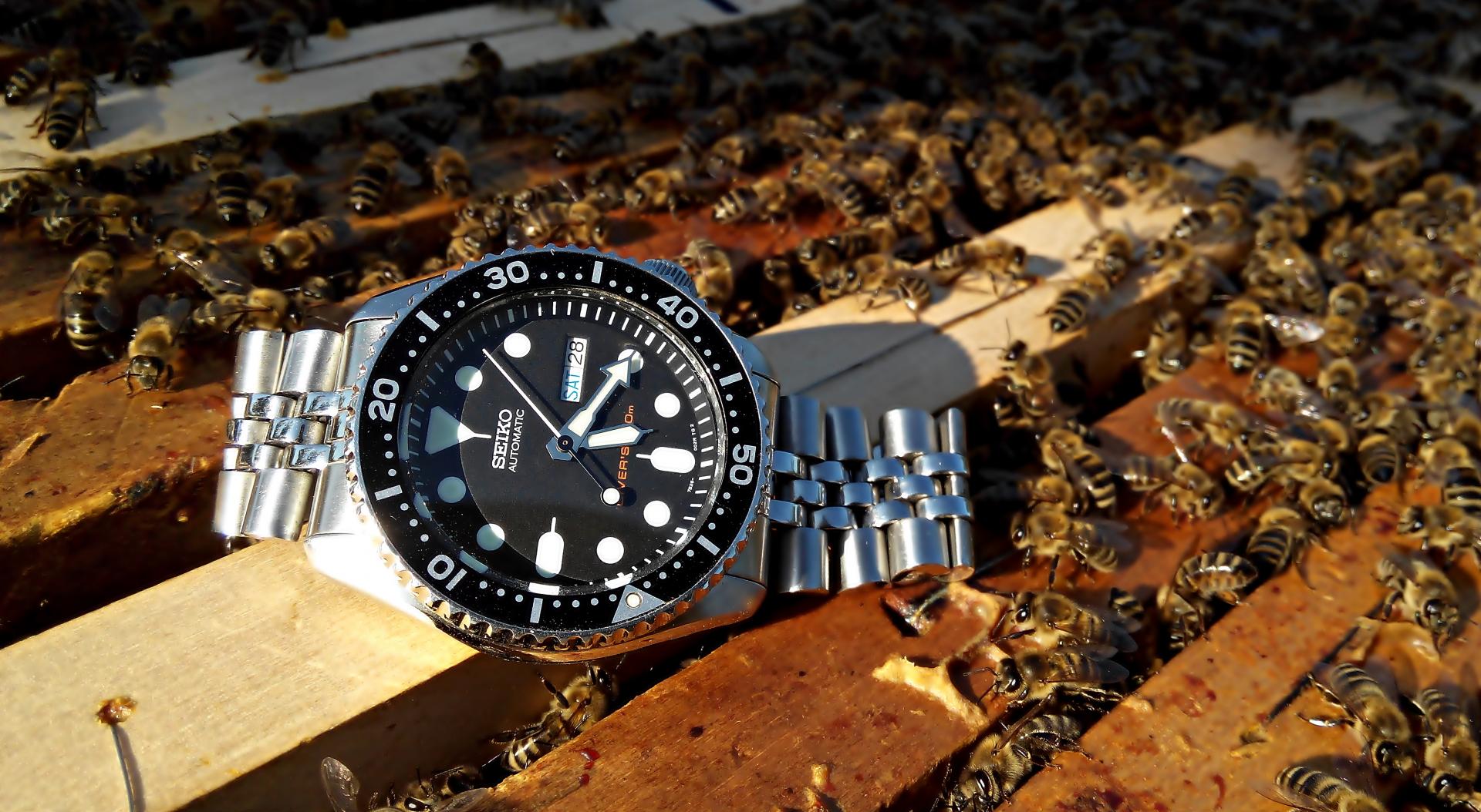 Naziv: IMG_20160528_171648 ....jpg, pregleda: 239, veličina: 291,1 KB