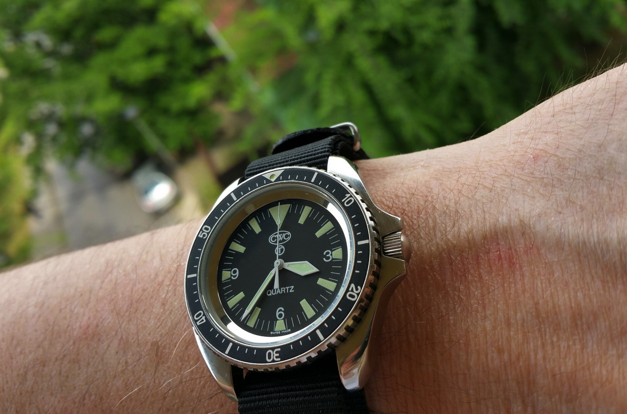 Naziv: 20160601_153550_1464788190699_resized.jpg, pregleda: 178, veličina: 282,8 KB