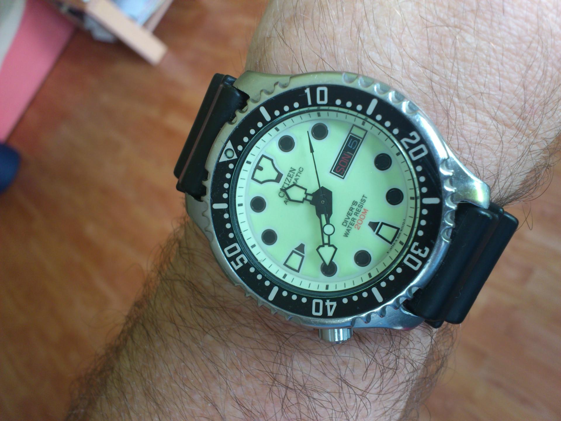 Naziv: DSC_0458.jpg, pregleda: 165, veličina: 234,9 KB