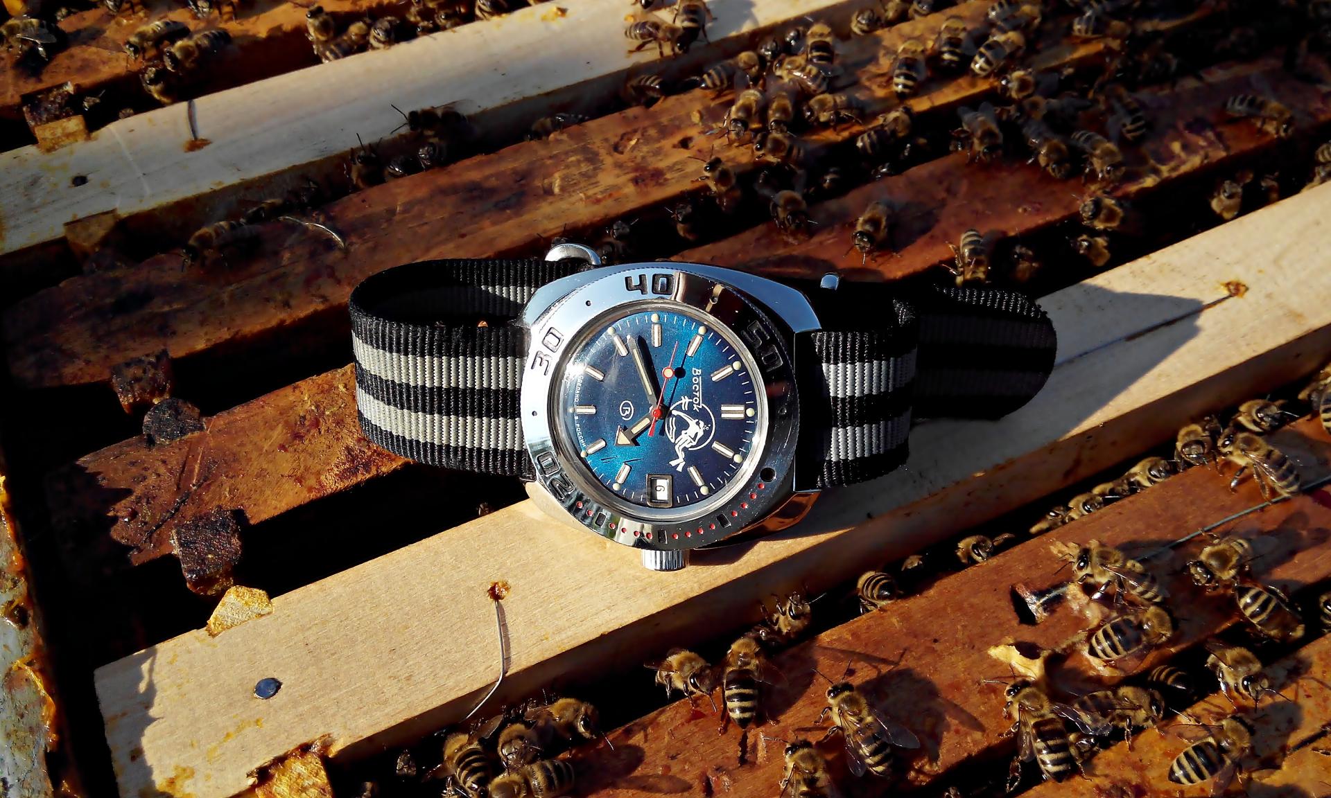 Naziv: IMG_20160528_172200 ....jpg, pregleda: 212, veličina: 345,3 KB