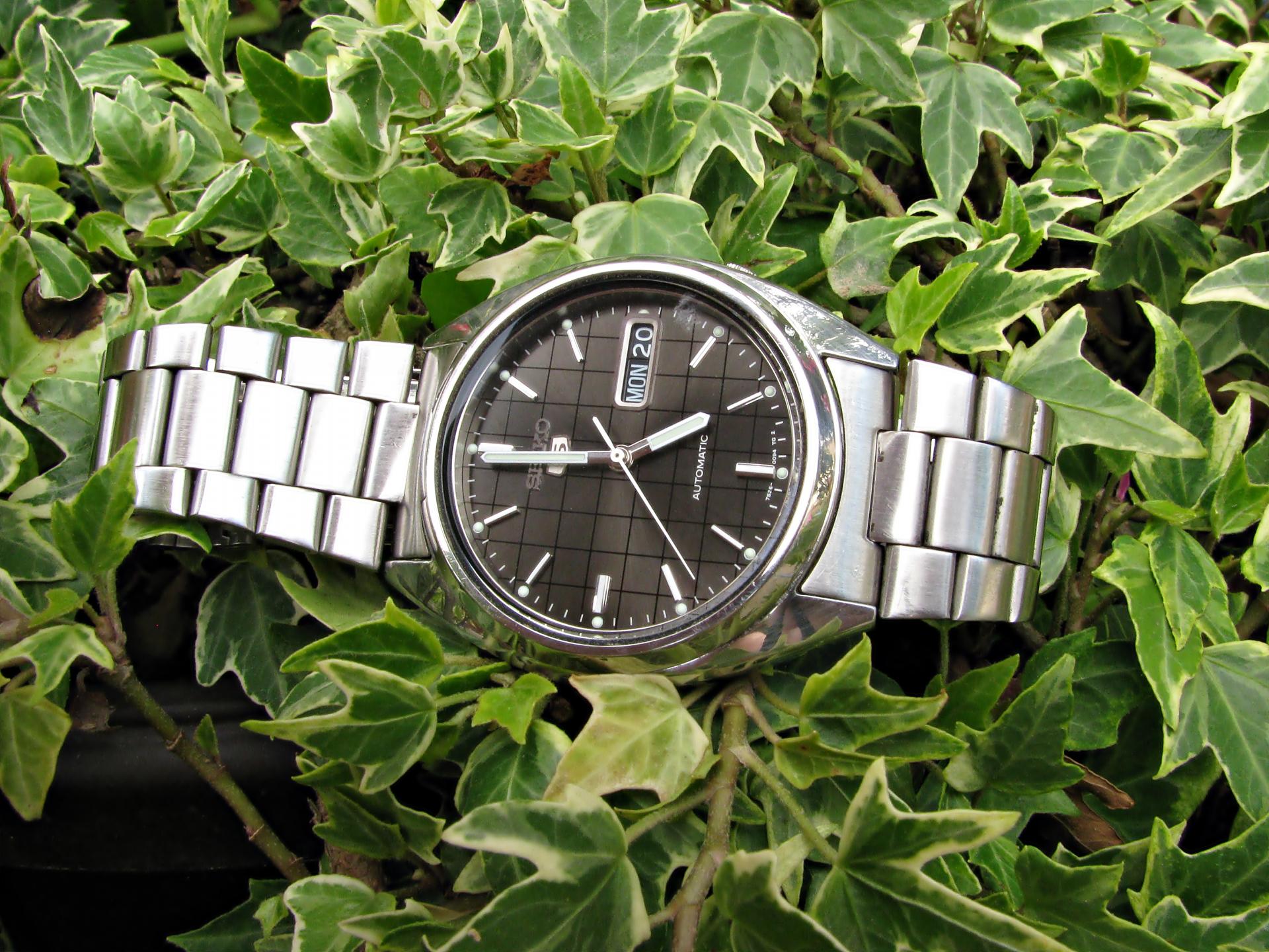 Naziv: IMG_3759 ....jpg, pregleda: 214, veličina: 403,2 KB