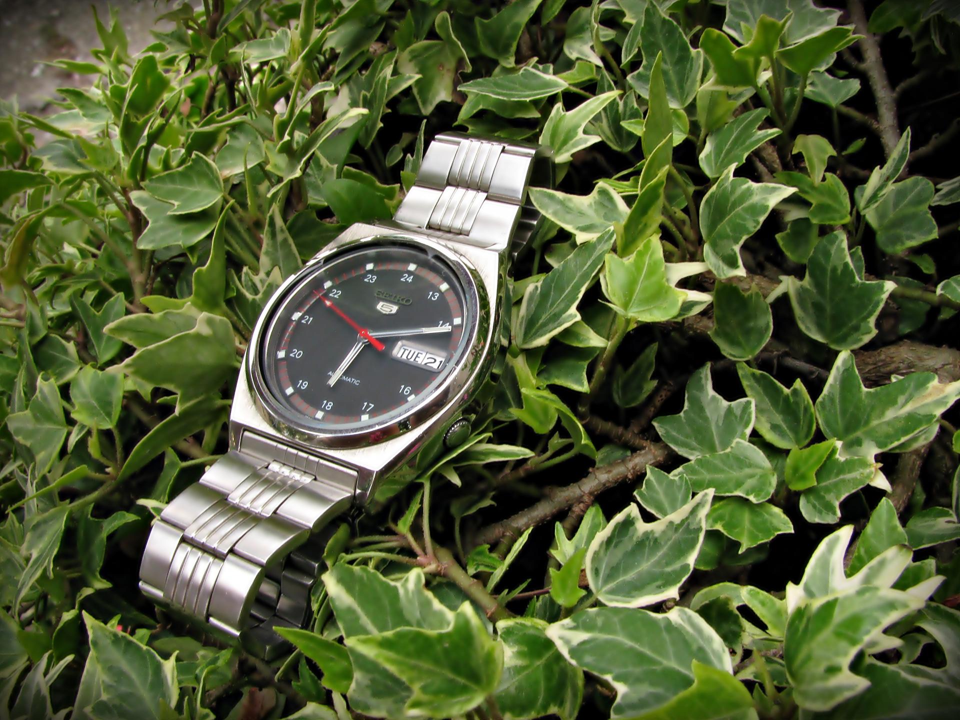 Naziv: IMG_3765 ....jpg, pregleda: 170, veličina: 364,8 KB