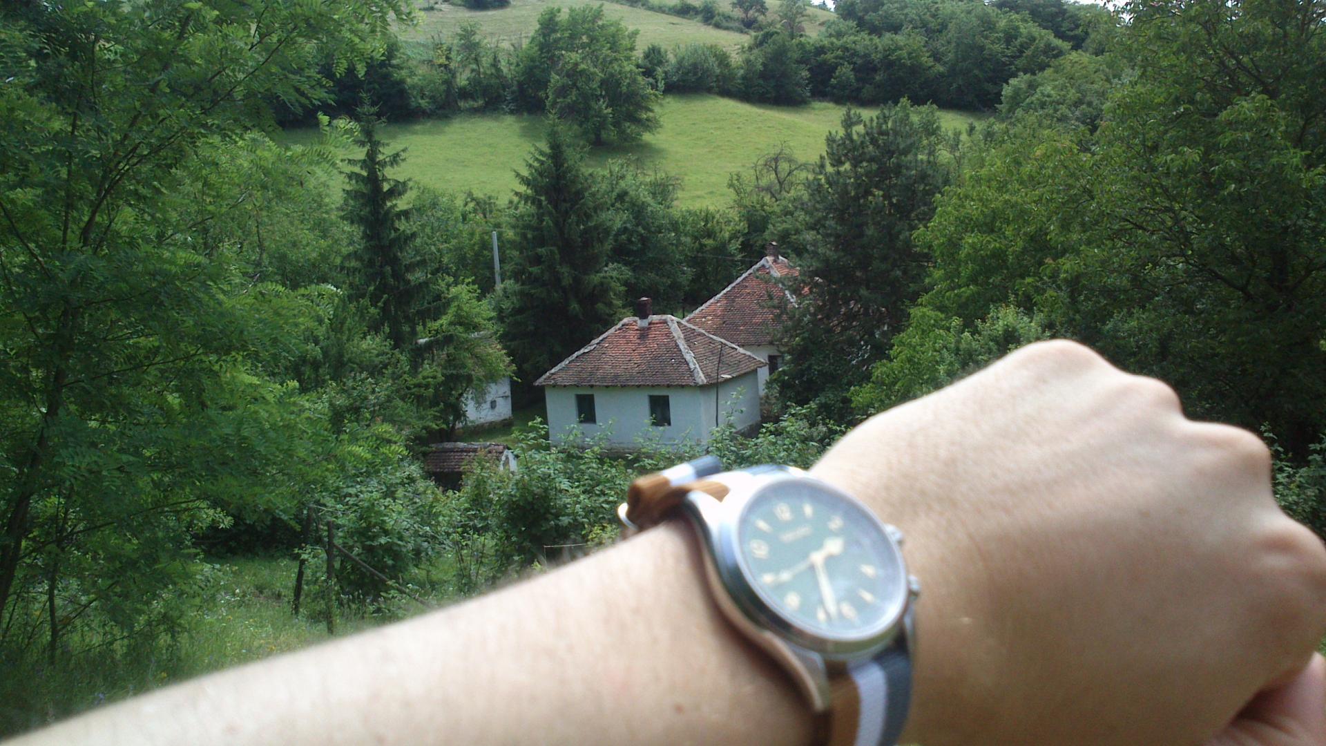 Naziv: DSC_0219.jpg, pregleda: 159, veličina: 297,5 KB