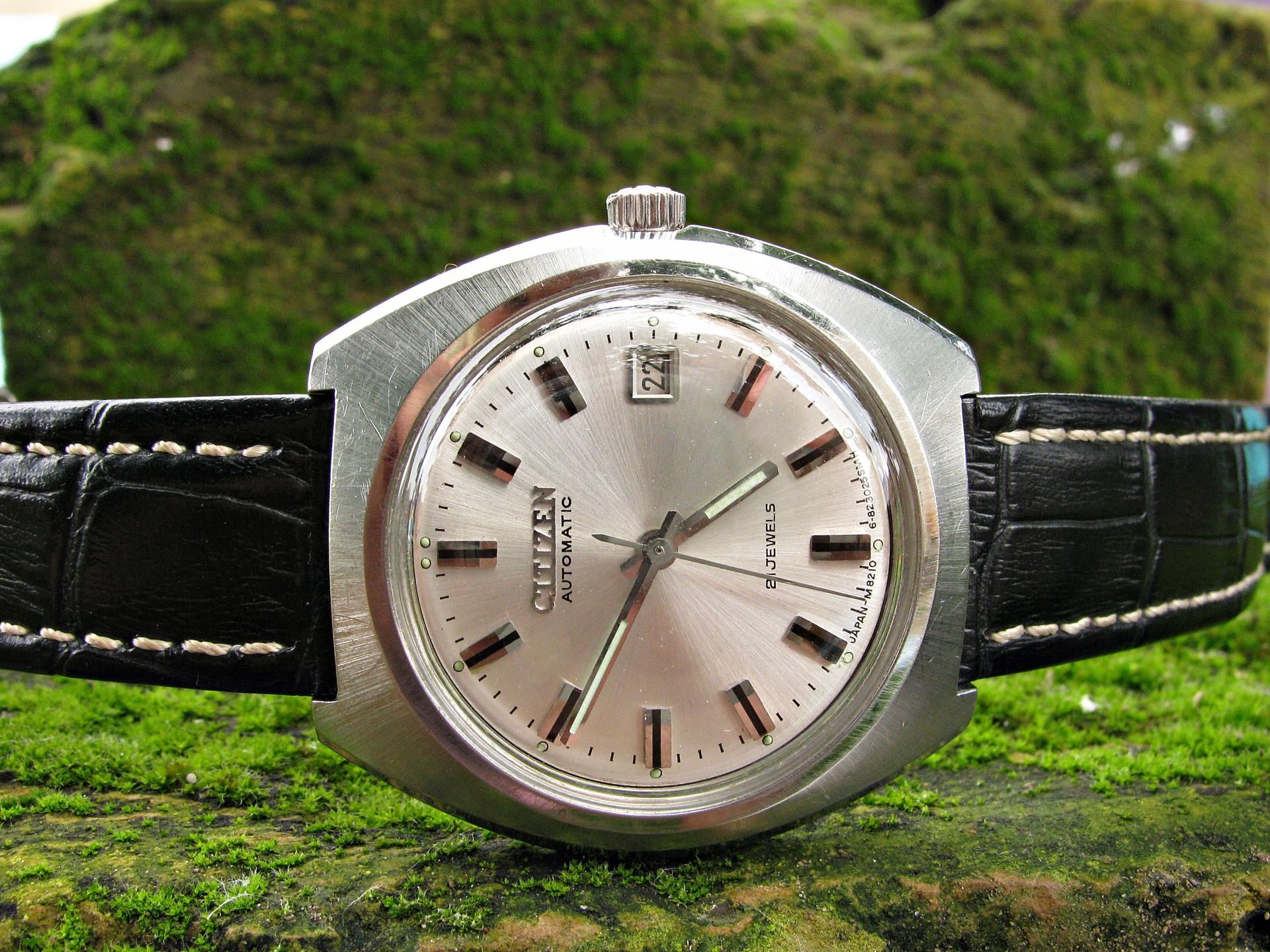 Naziv: IMG_3801 ....jpg, pregleda: 191, veličina: 484,6 KB