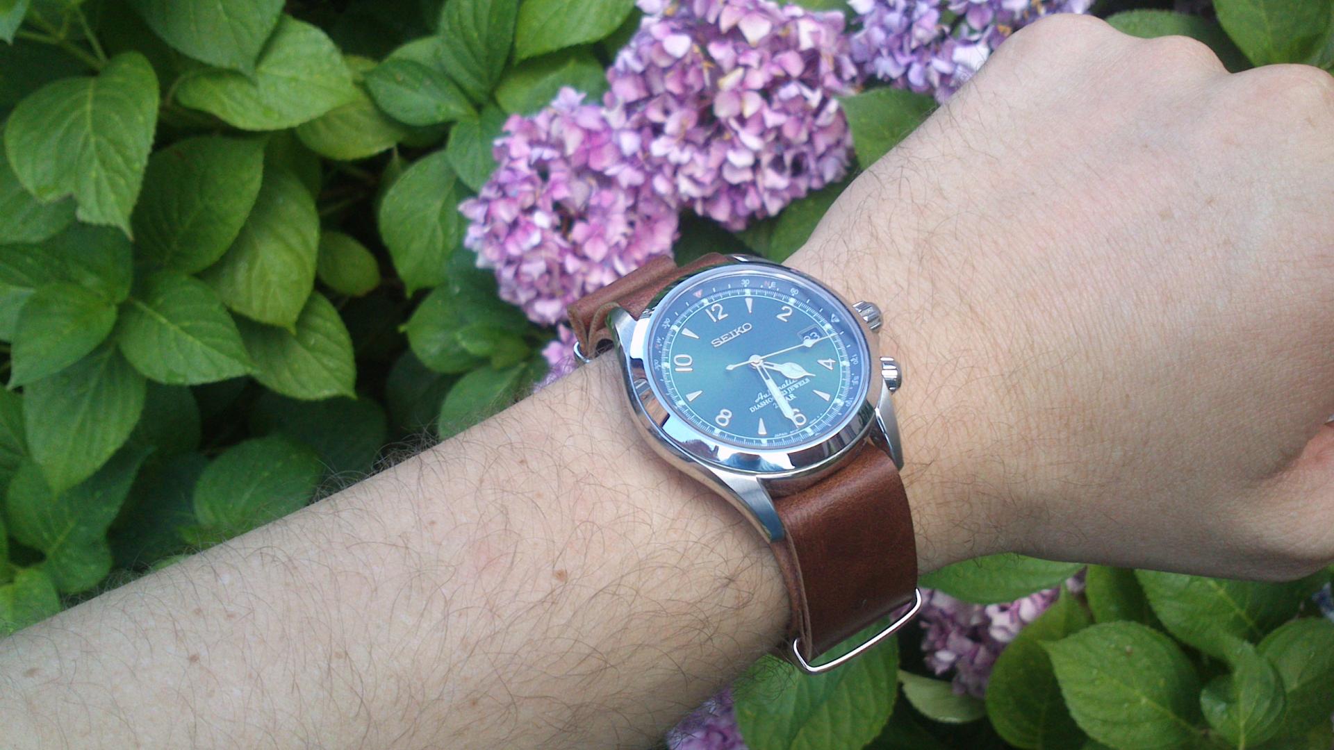 Naziv: DSC_0224.jpg, pregleda: 184, veličina: 228,2 KB