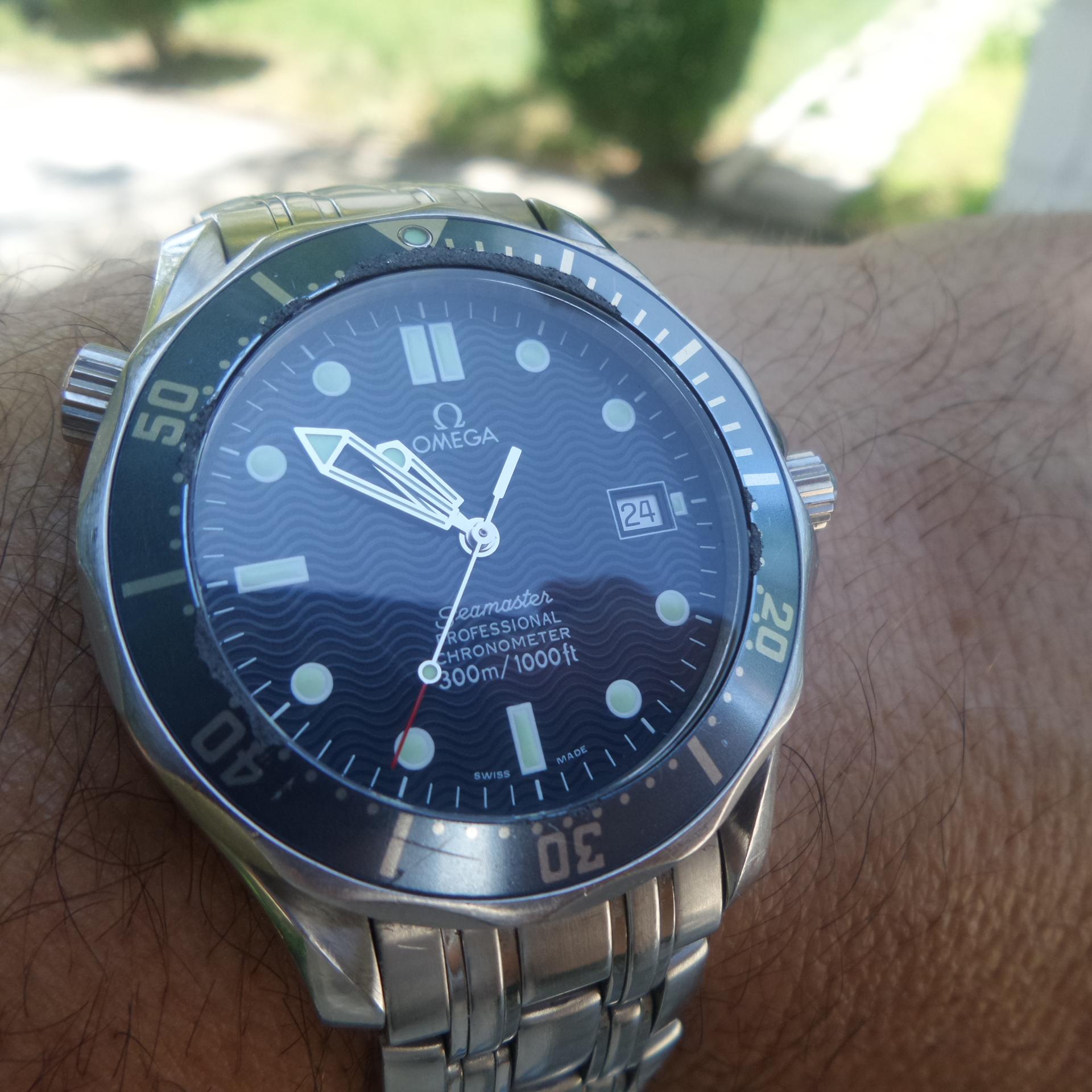 Naziv: 20160624_105048.jpg, pregleda: 181, veličina: 282,6 KB