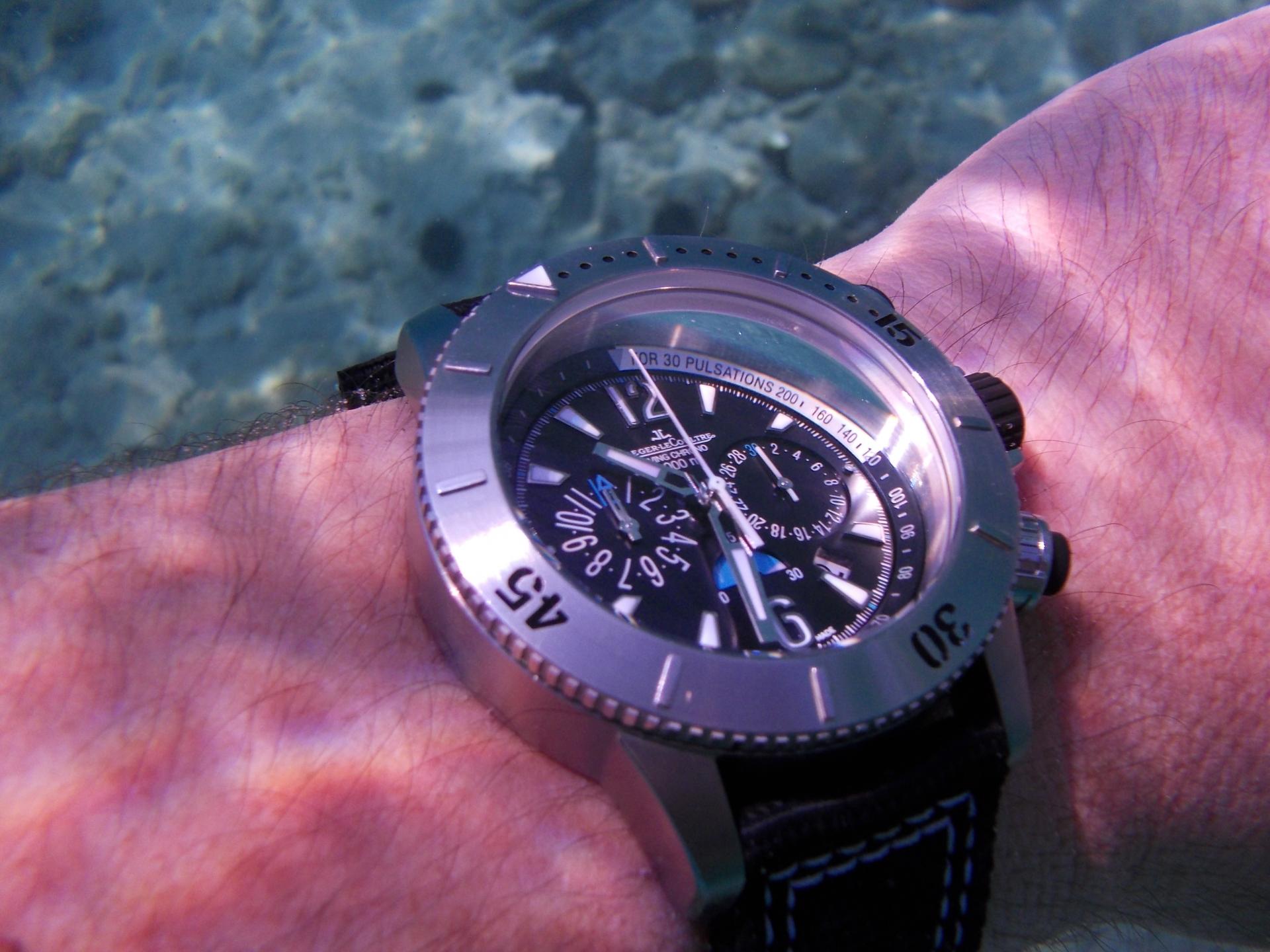 Naziv: DSCN0987.jpg, pregleda: 173, veličina: 233,5 KB