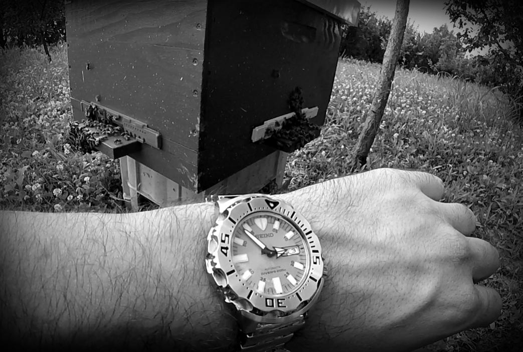 Naziv: jgfc ....jpg, pregleda: 182, veličina: 118,7 KB