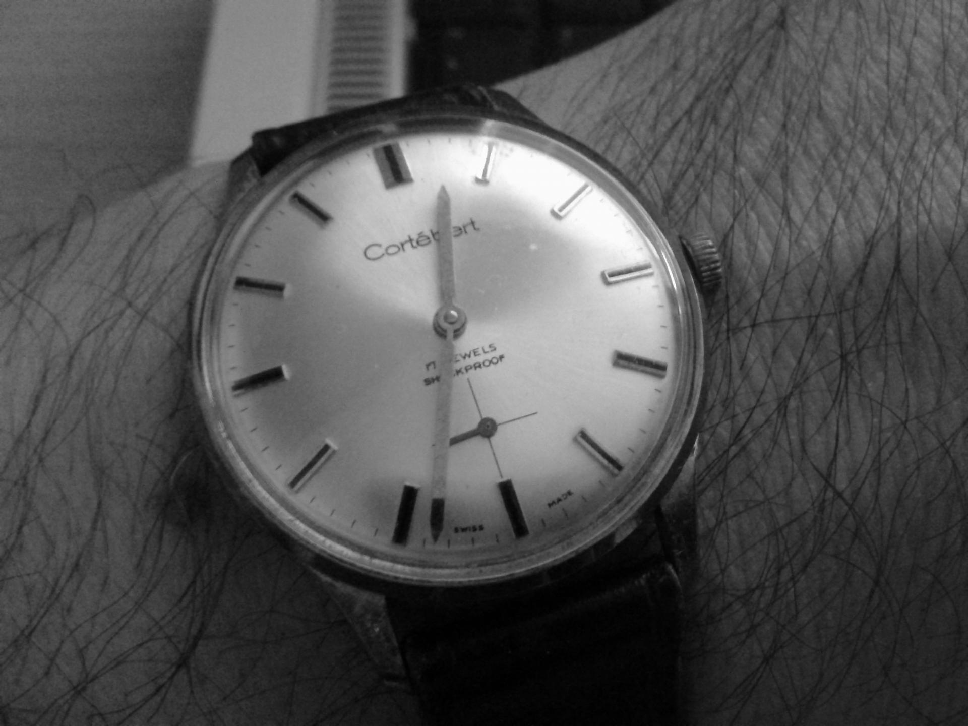 Naziv: 20160323_123422.jpg, pregleda: 203, veličina: 189,4 KB