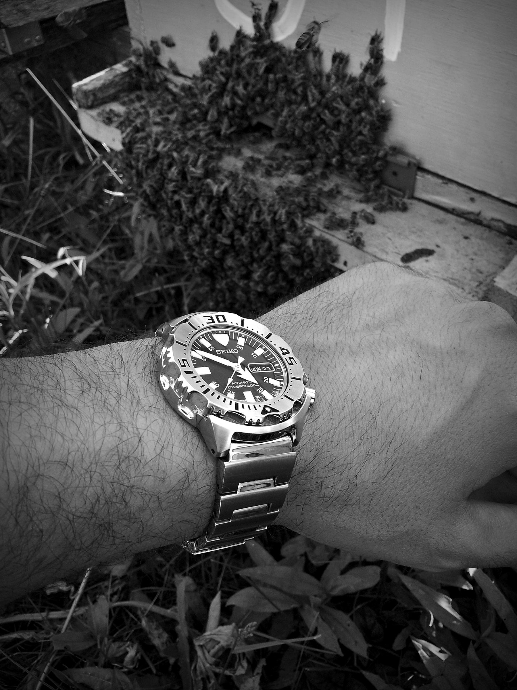 Naziv: 20160523_165031 ...,.jpg, pregleda: 178, veličina: 498,8 KB