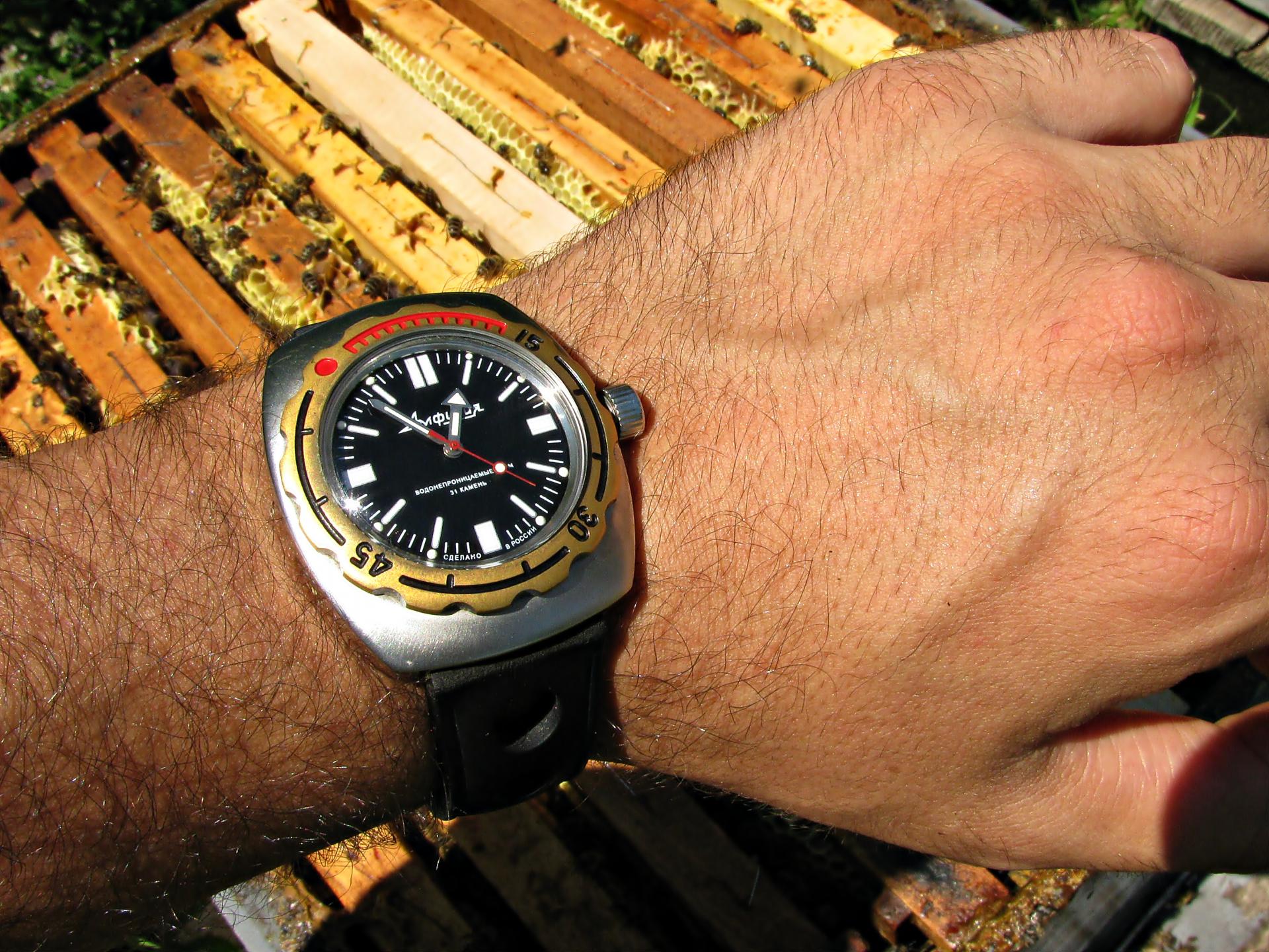 Naziv: IMG_3990 ....jpg, pregleda: 188, veličina: 455,4 KB