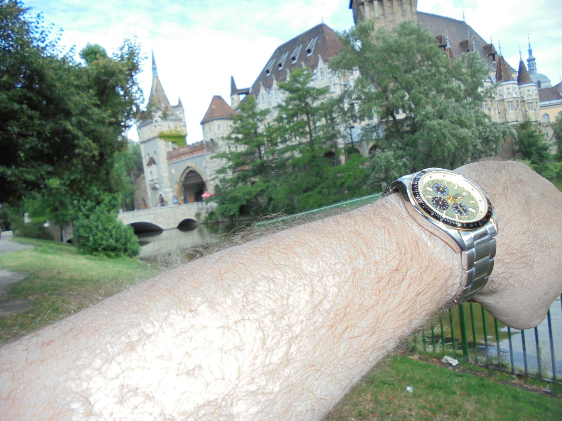 Naziv: DSC04594.jpg, pregleda: 170, veličina: 318,3 KB