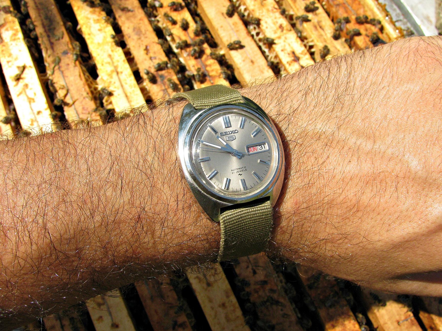 Naziv: IMG_4163 ...,,.jpg, pregleda: 206, veličina: 497,9 KB