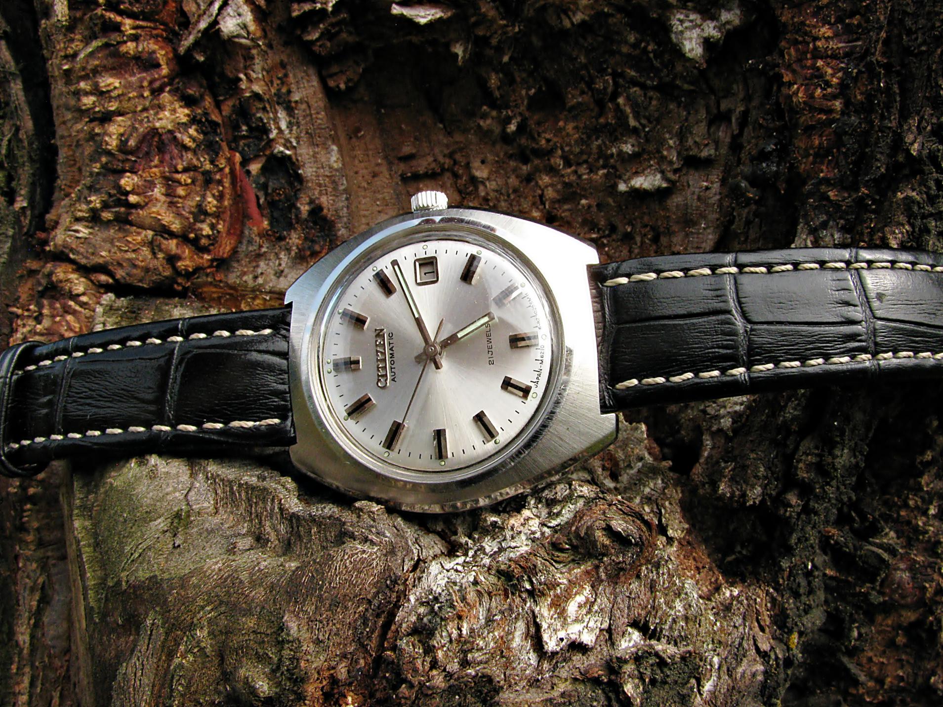 Naziv: IMG_4212 ....jpg, pregleda: 181, veličina: 490,0 KB