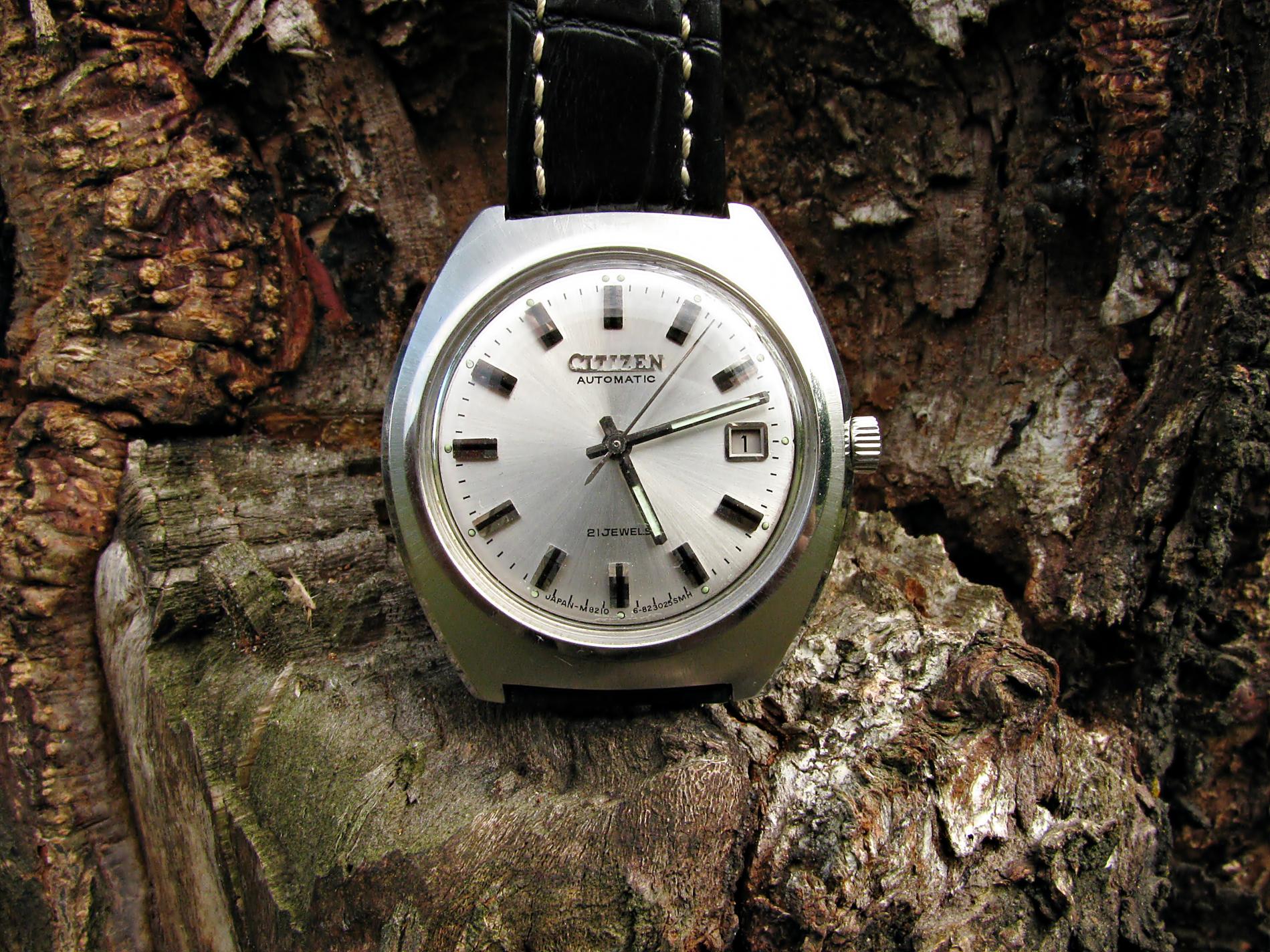 Naziv: IMG_4213 ....jpg, pregleda: 183, veličina: 490,6 KB