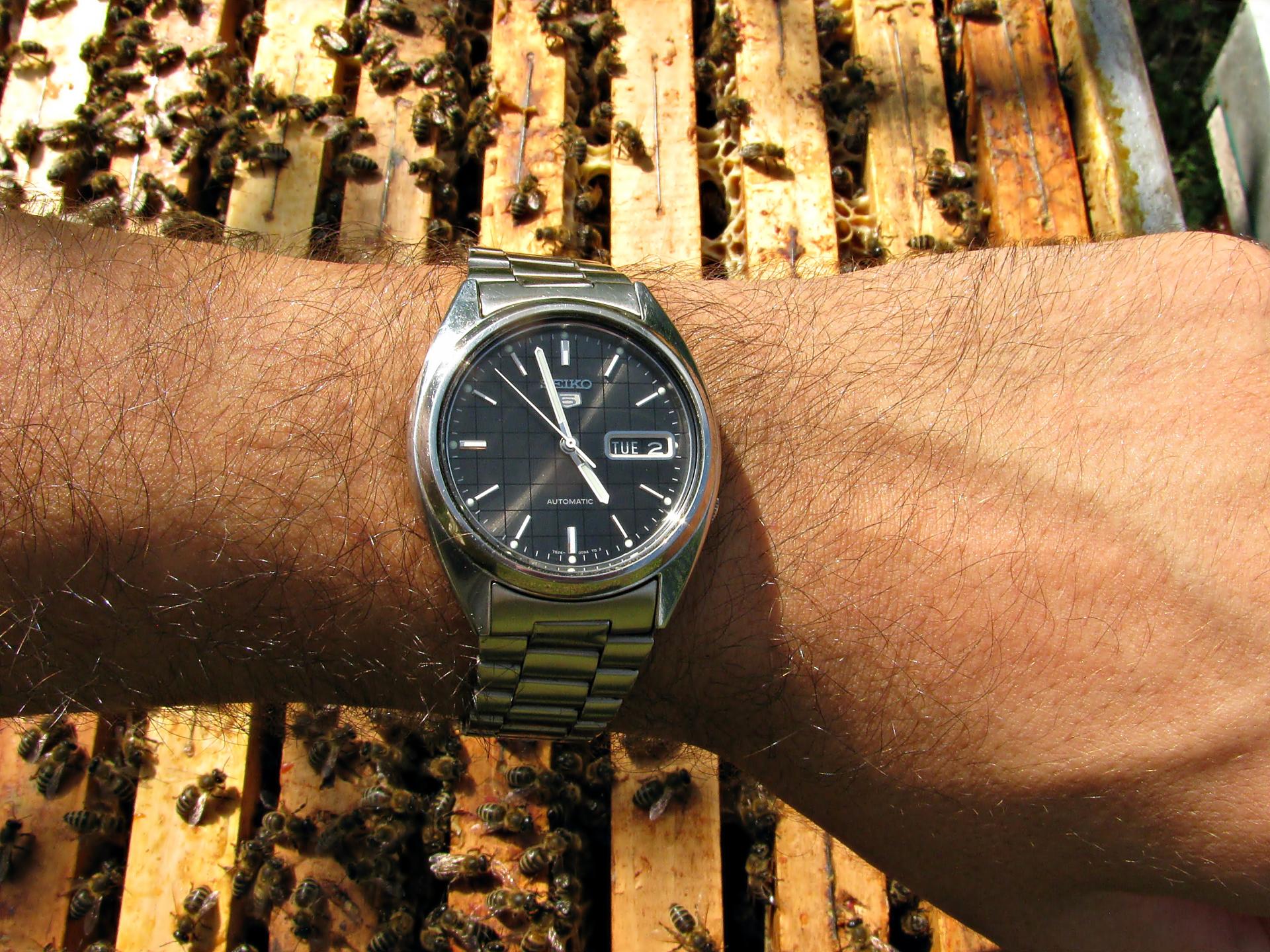 Naziv: IMG_4292 ....jpg, pregleda: 211, veličina: 484,8 KB