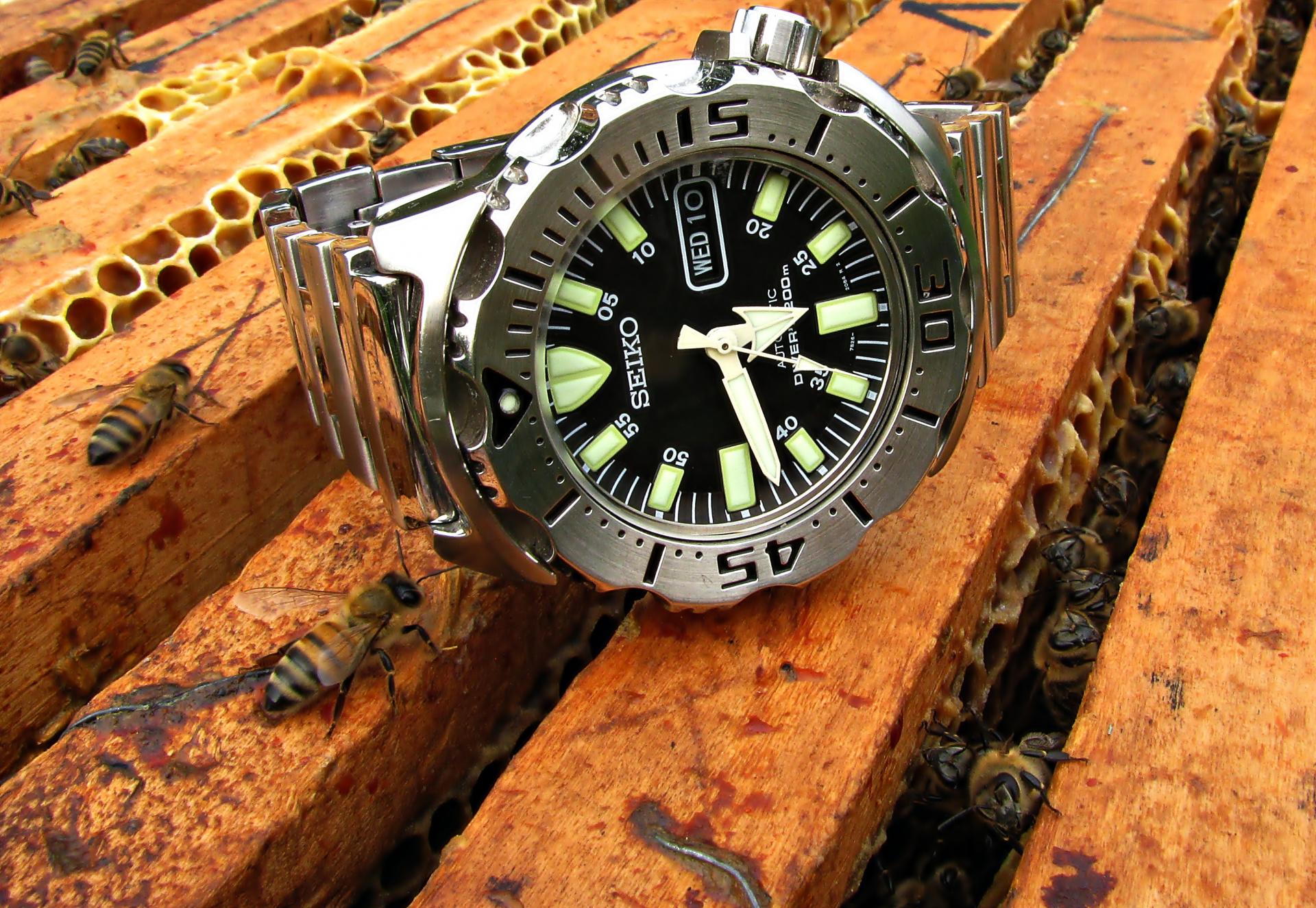 Naziv: IMG_4307 ....jpg, pregleda: 224, veličina: 436,0 KB