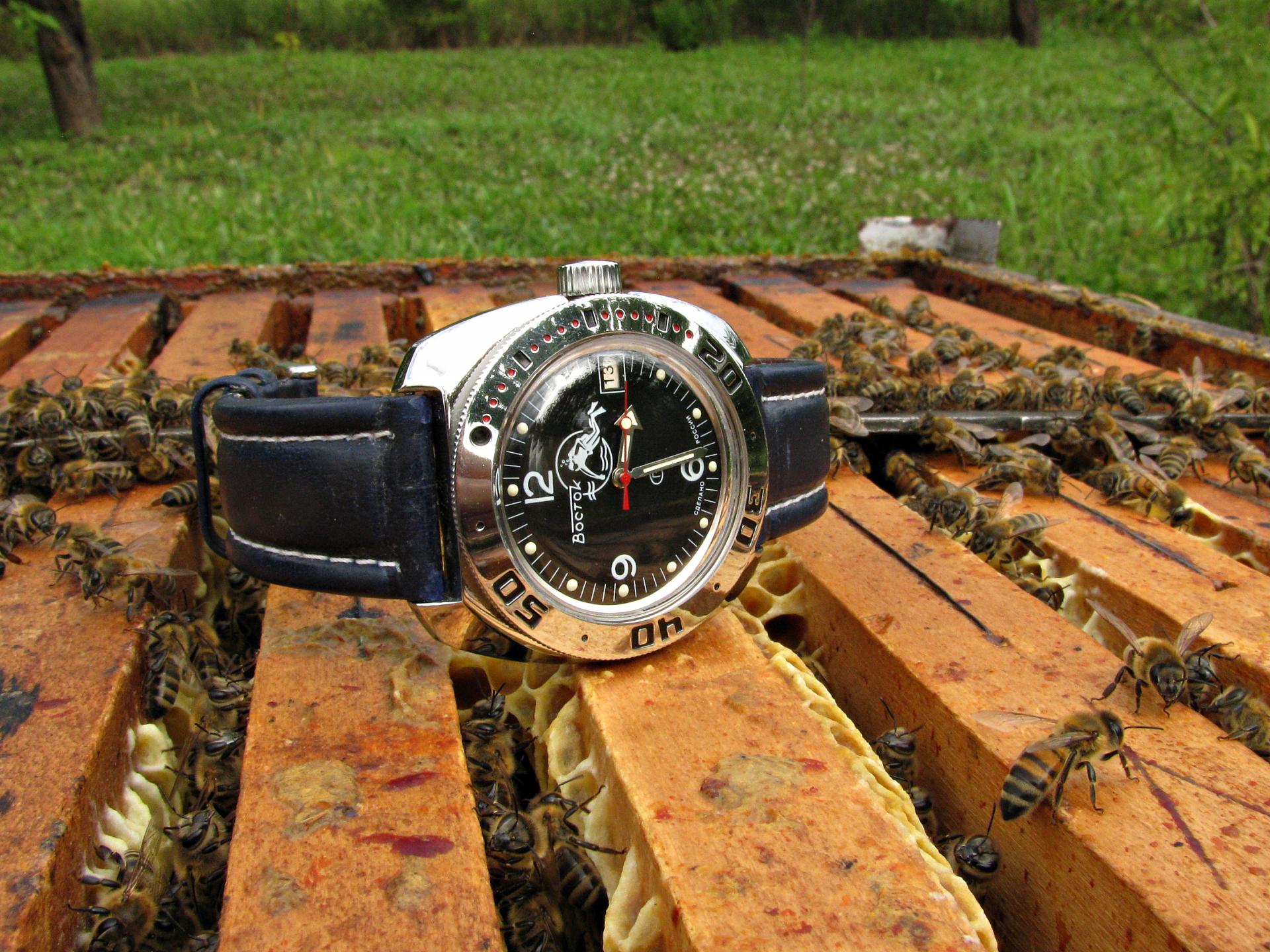 Naziv: IMG_4318 ....jpg, pregleda: 150, veličina: 424,2 KB