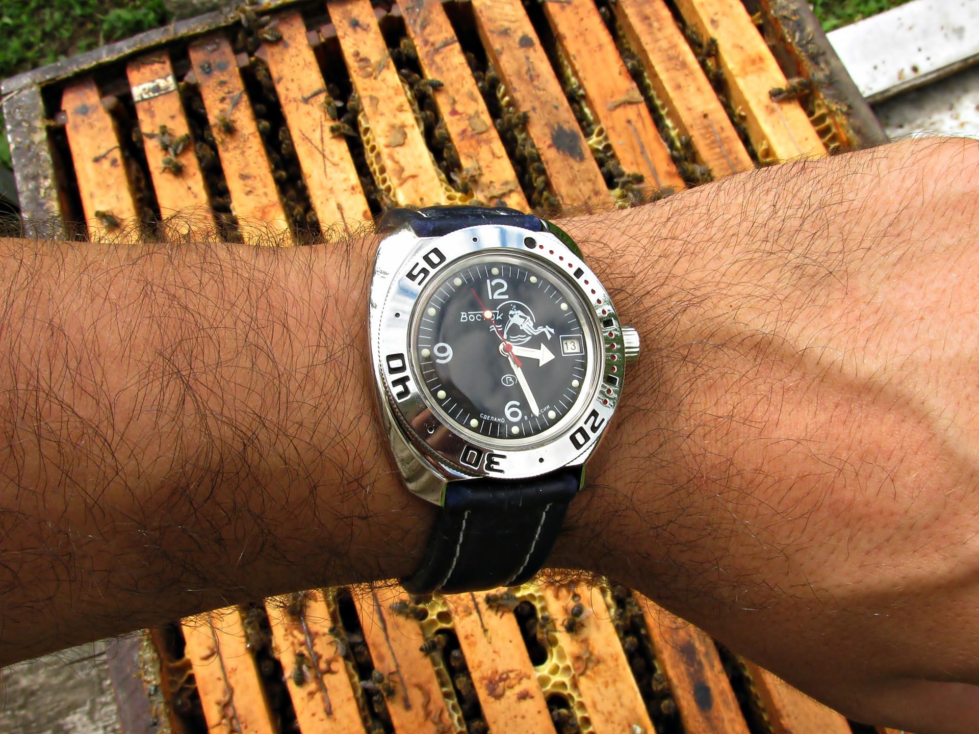 Naziv: IMG_4312 ...,,.jpg, pregleda: 149, veličina: 411,6 KB