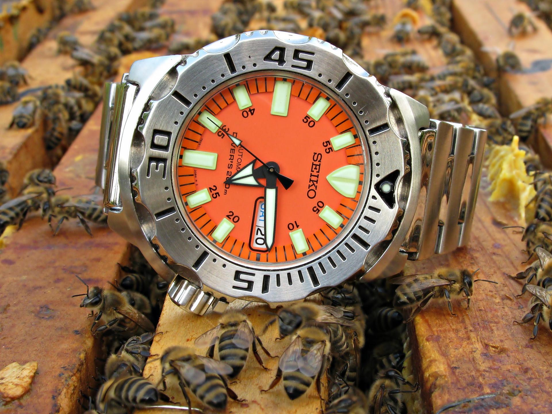 Naziv: IMG_4439 ...,.jpg, pregleda: 228, veličina: 370,8 KB