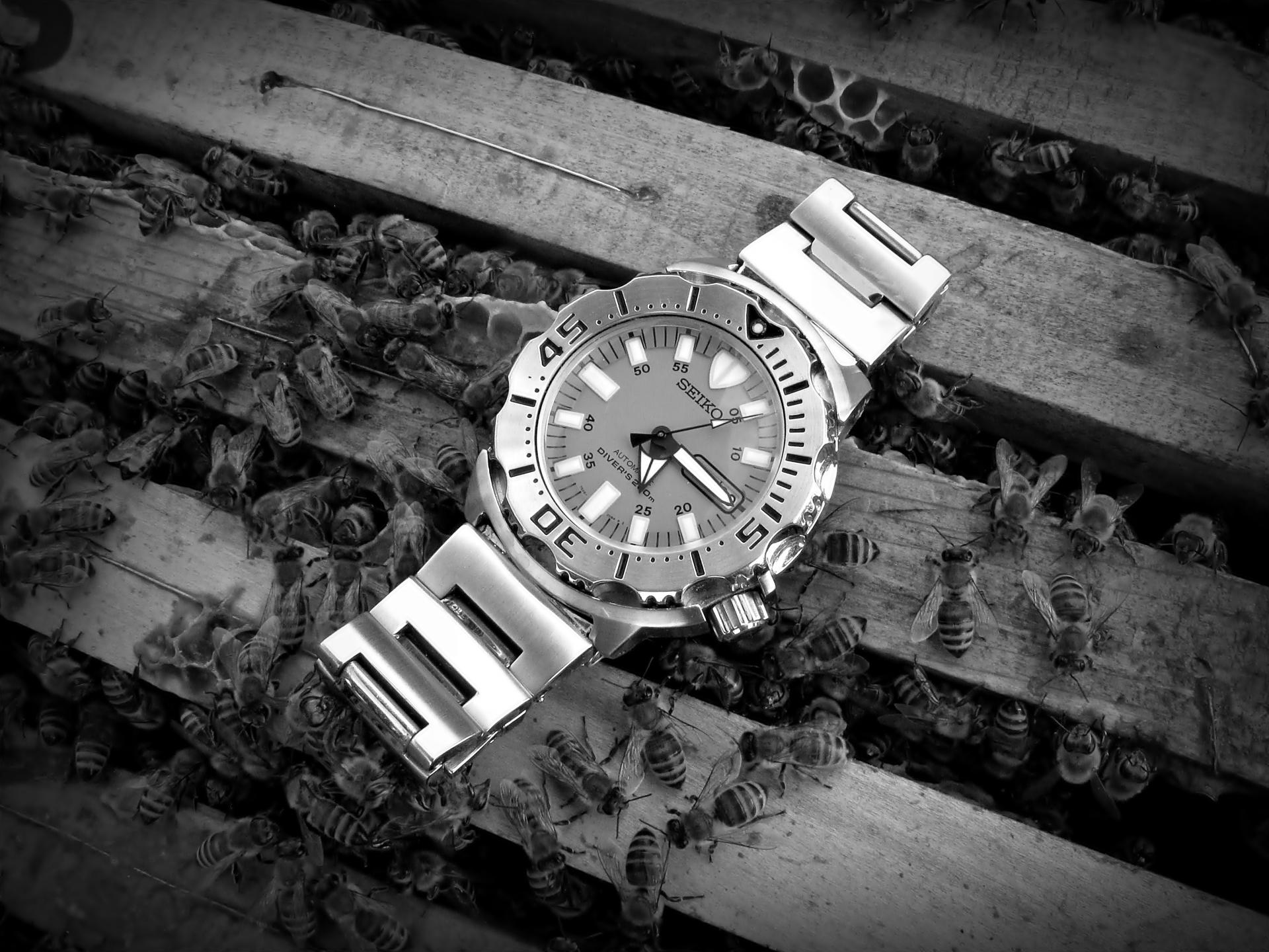 Naziv: IMG_4442 ...,.jpg, pregleda: 229, veličina: 344,0 KB