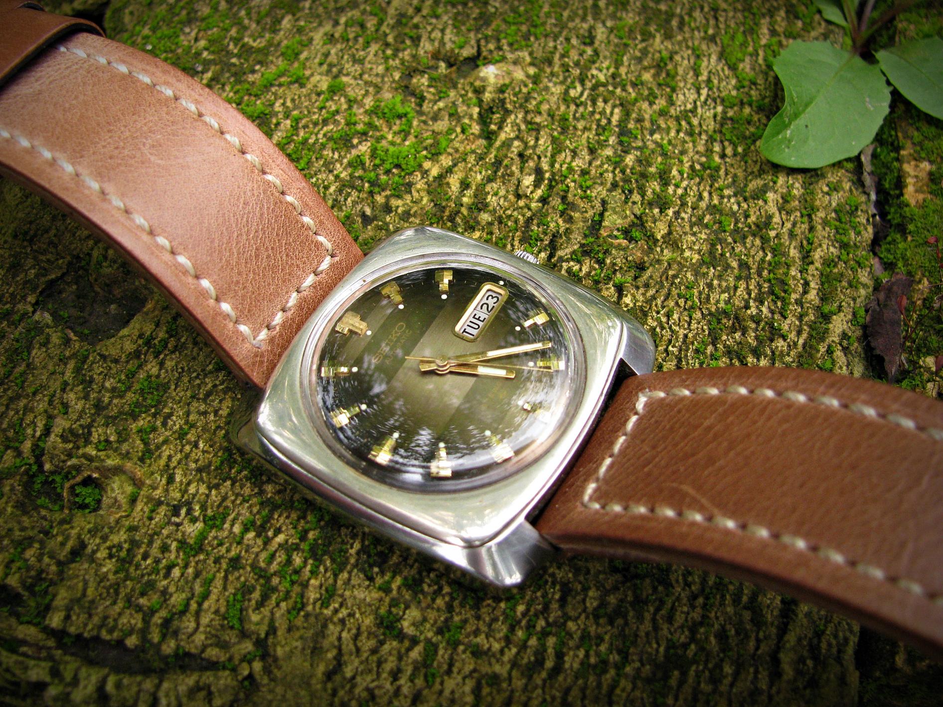 Naziv: IMG_4512 ....jpg, pregleda: 188, veličina: 491,4 KB