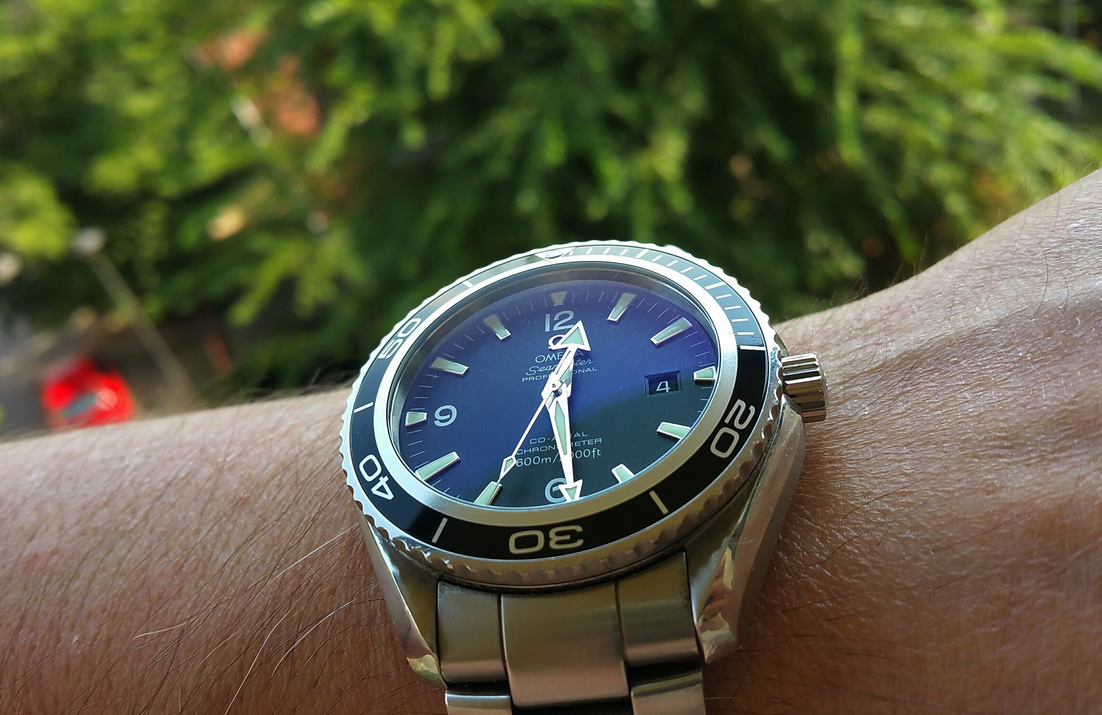 Naziv: 20160904_122831_1472984942772_resized.jpg, pregleda: 198, veličina: 251,3 KB