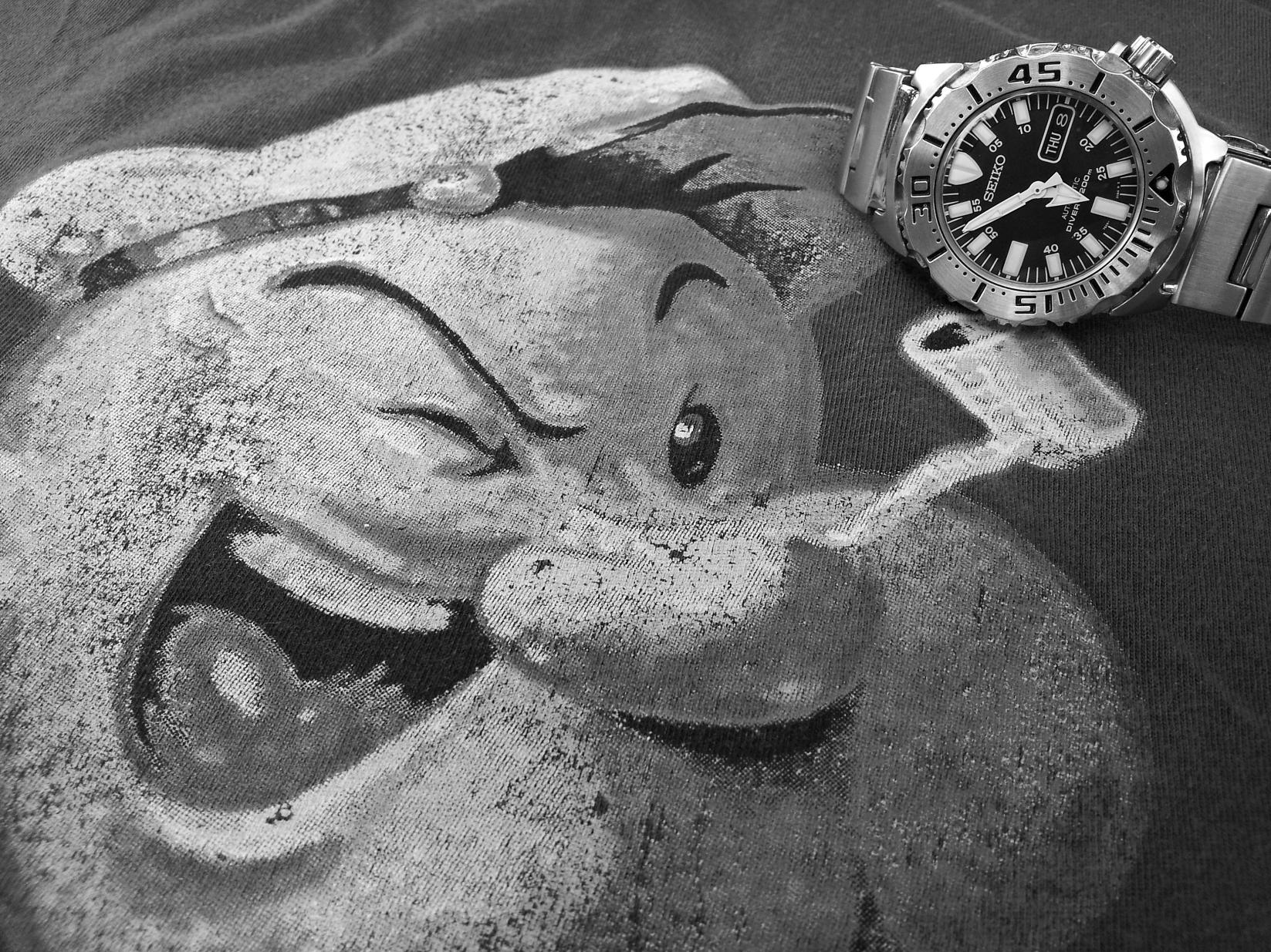 Naziv: 20160908_103341 ....jpg, pregleda: 261, veličina: 512,3 KB