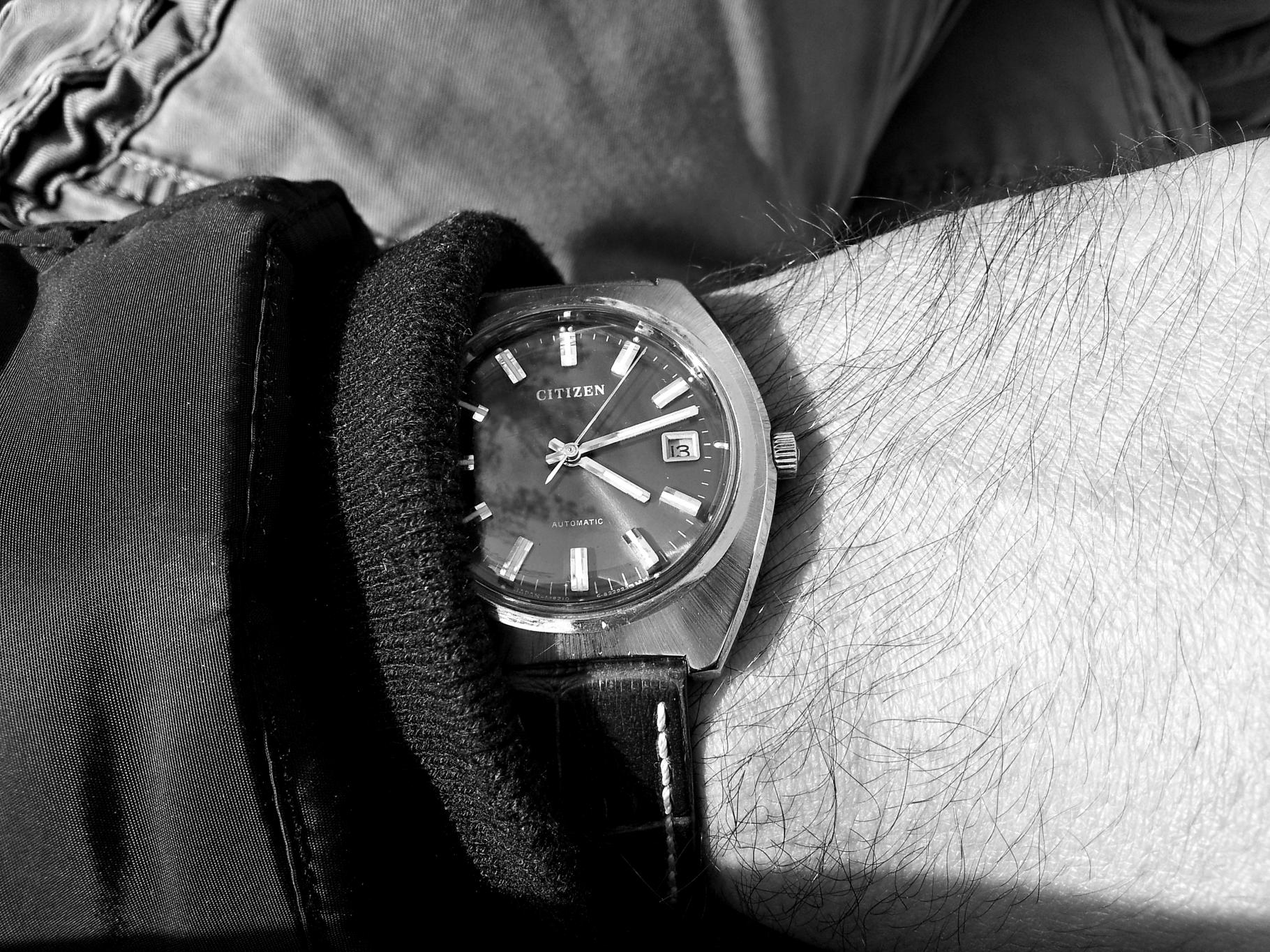 Naziv: 20161014_151250 ....jpg, pregleda: 200, veličina: 495,1 KB