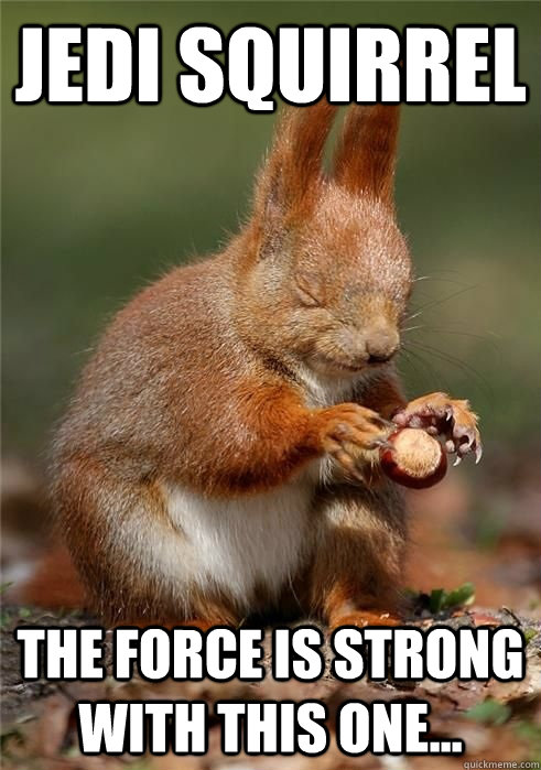 Naziv: bc7c1773d1664b279c9975a90e6432e5621b447f6822e06340f6d4c0148d3255.jpg, pregleda: 191, veličina: 86,3 KB