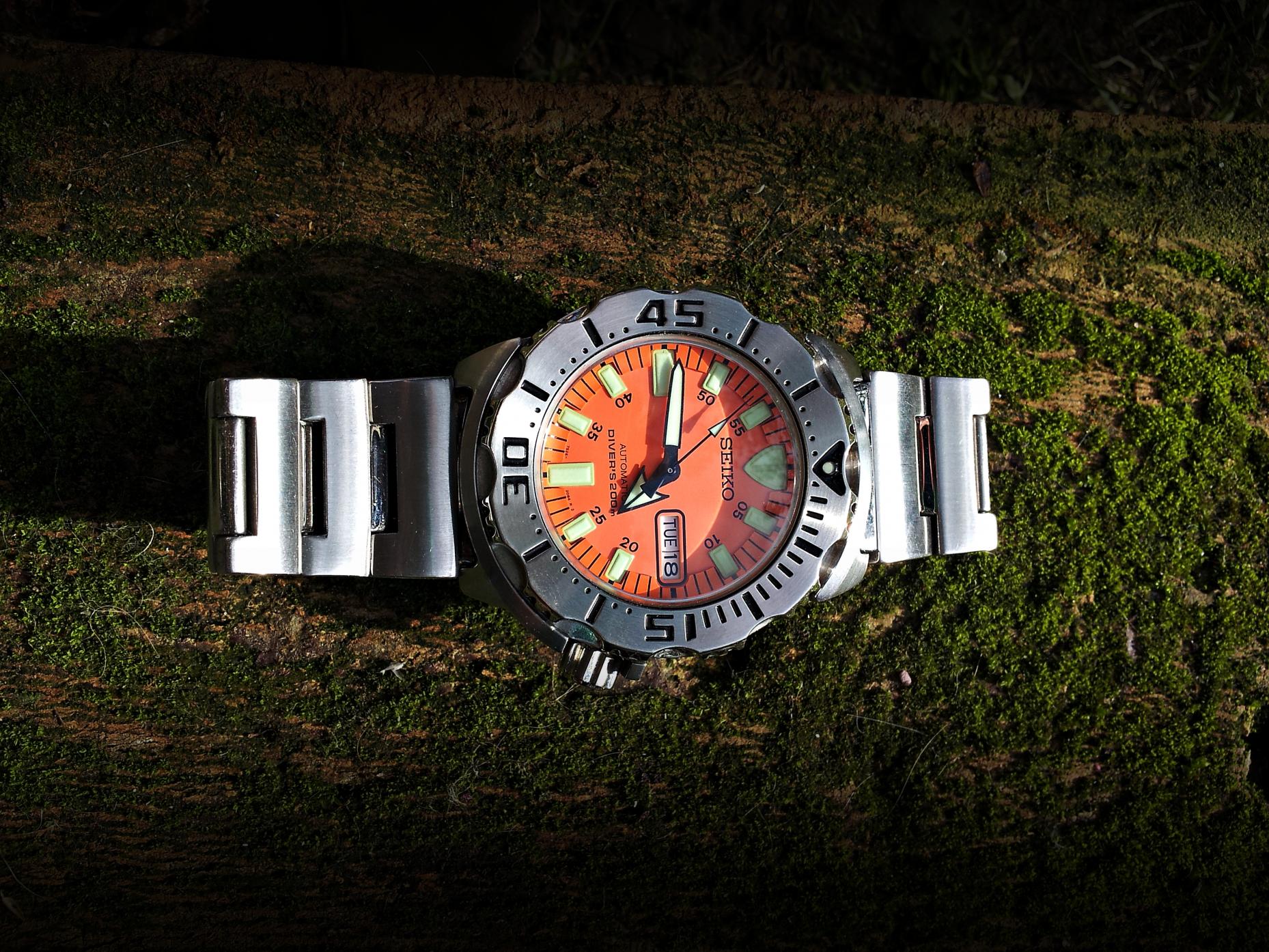 Naziv: 20161018_143900 ....jpg, pregleda: 222, veličina: 495,7 KB