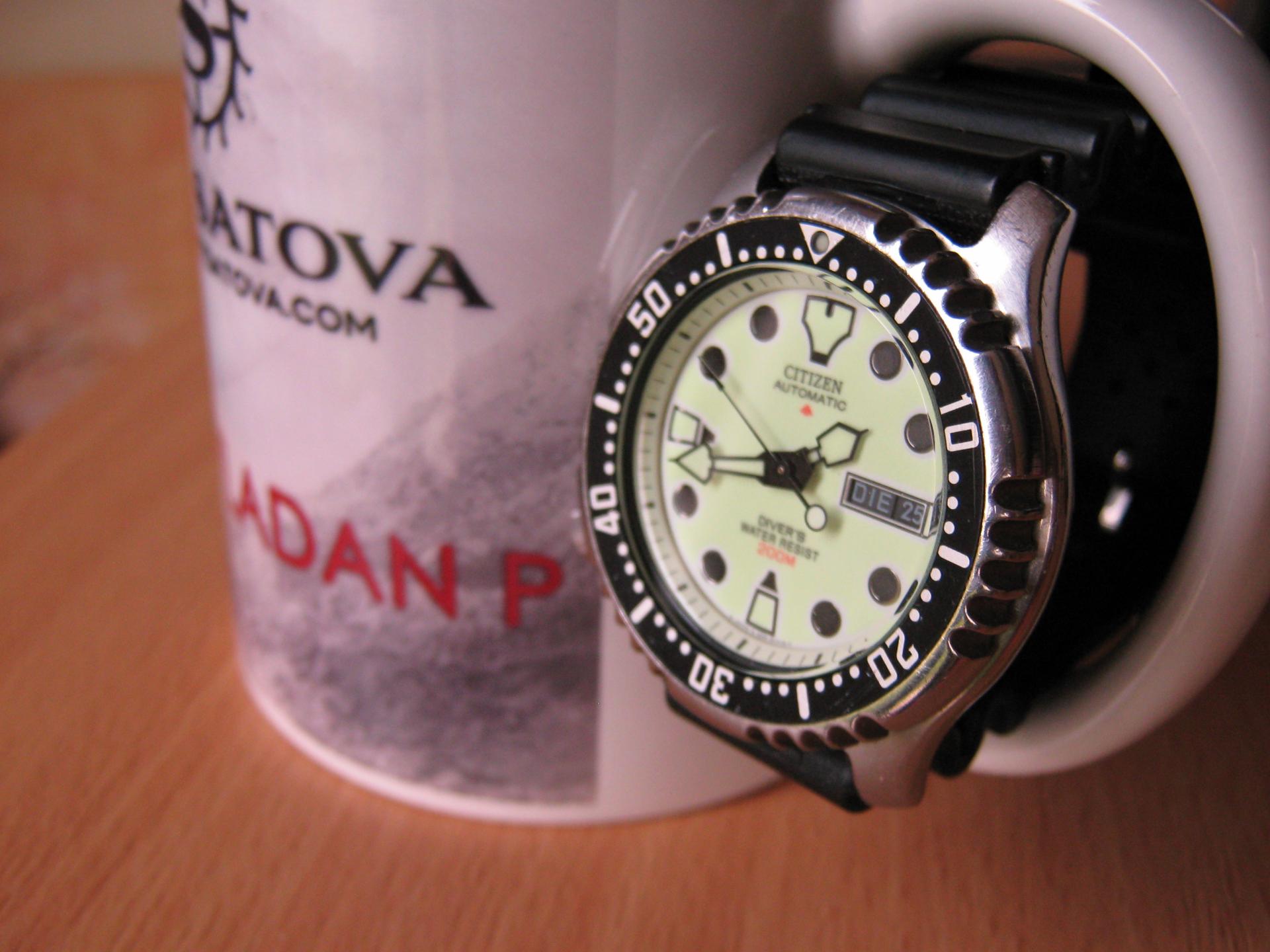 Naziv: IMG_4242.jpg, pregleda: 201, veličina: 190,0 KB