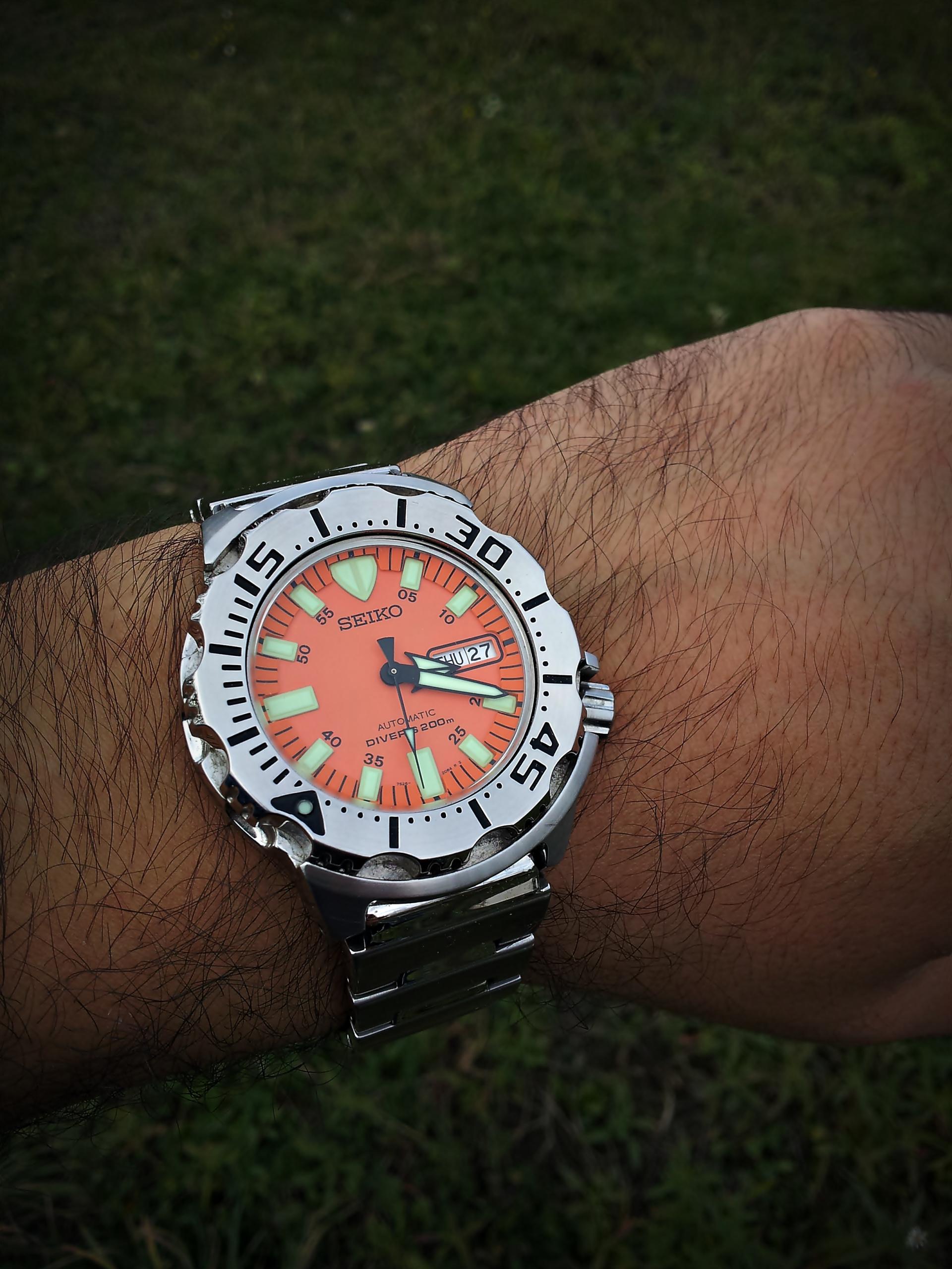 Naziv: 20161027_152031 ....jpg, pregleda: 177, veličina: 410,1 KB