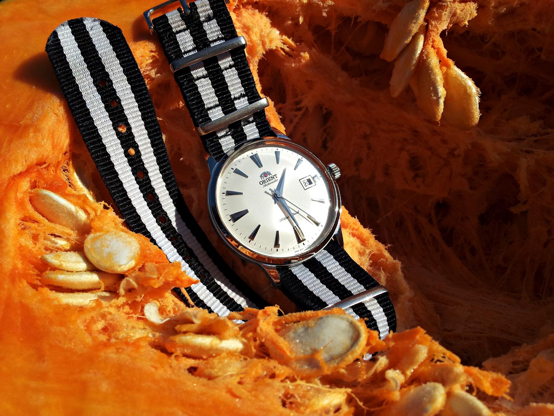 Naziv: 20161120_132928 ....jpg, pregleda: 183, veličina: 382,5 KB