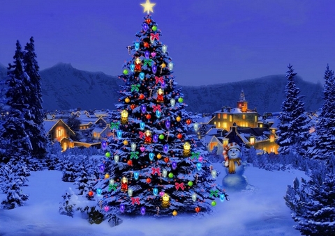 Naziv: kiceni_bor.jpg, pregleda: 434, veličina: 146,8 KB