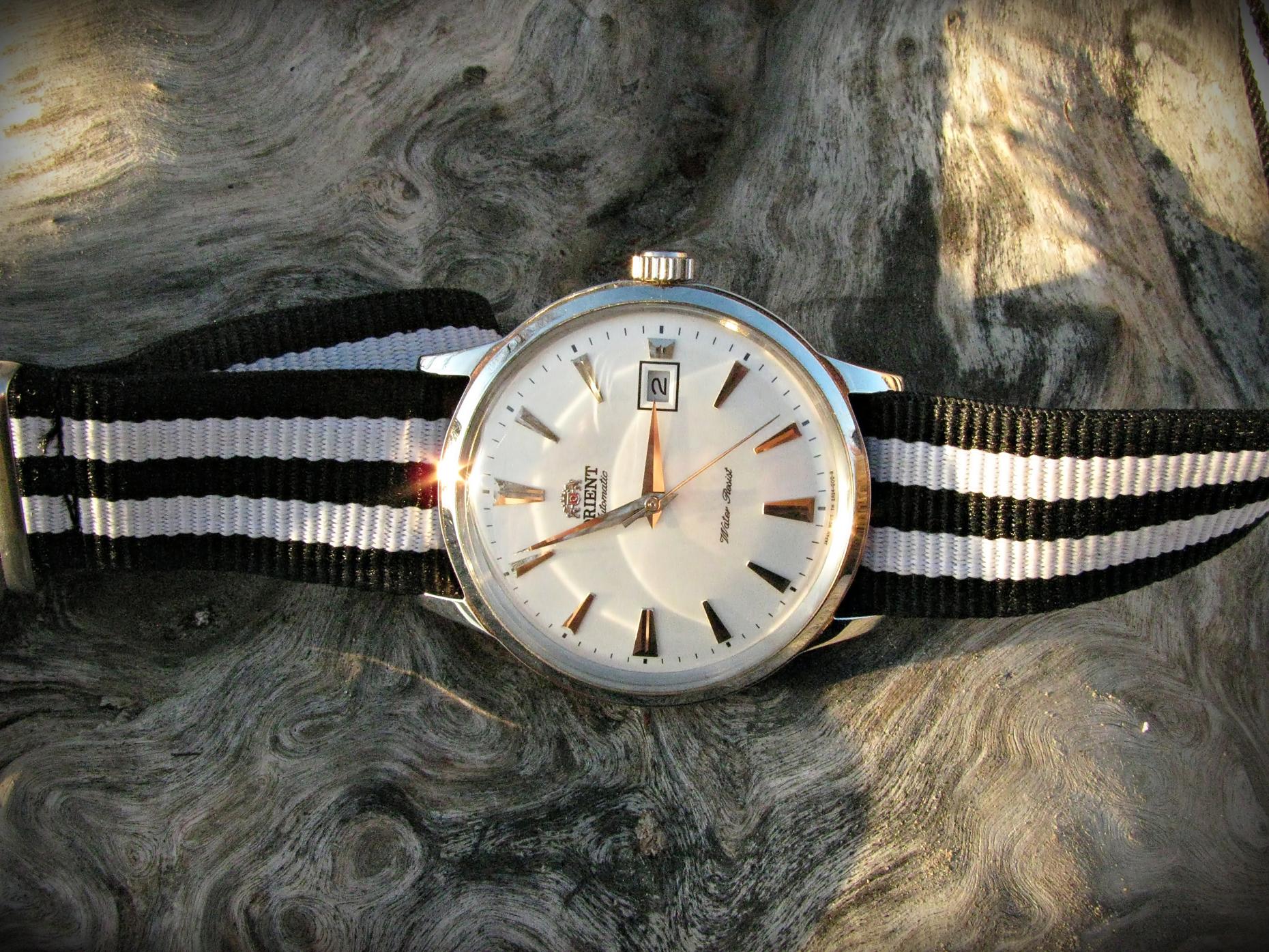 Naziv: IMG_4948 ....jpg, pregleda: 296, veličina: 492,0 KB