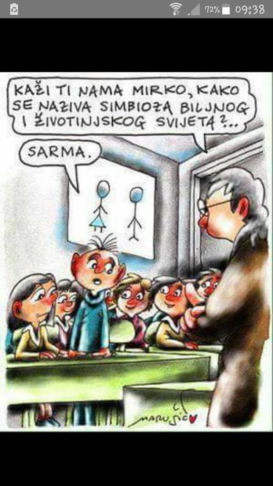 Naziv: sarma.jpg, pregleda: 769, veličina: 68,2 KB