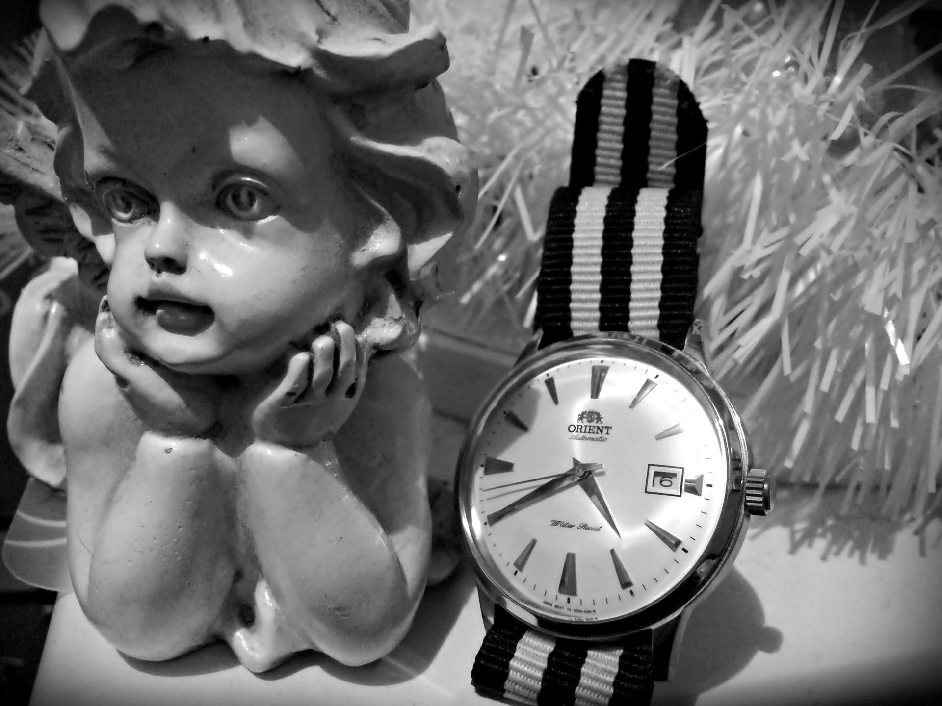 Naziv: 20170106_163805 ....jpg, pregleda: 186, veličina: 219,0 KB