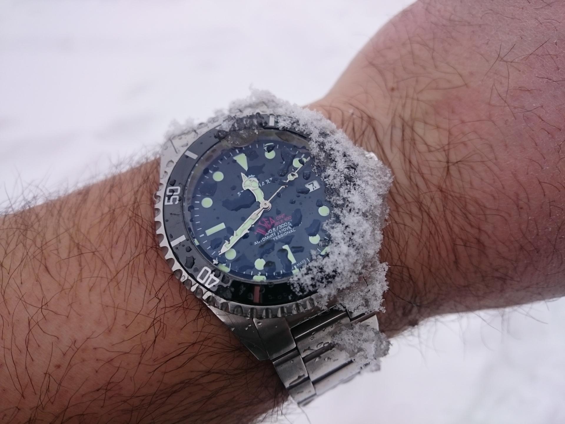 Naziv: DSC_1308.jpg, pregleda: 228, veličina: 225,3 KB